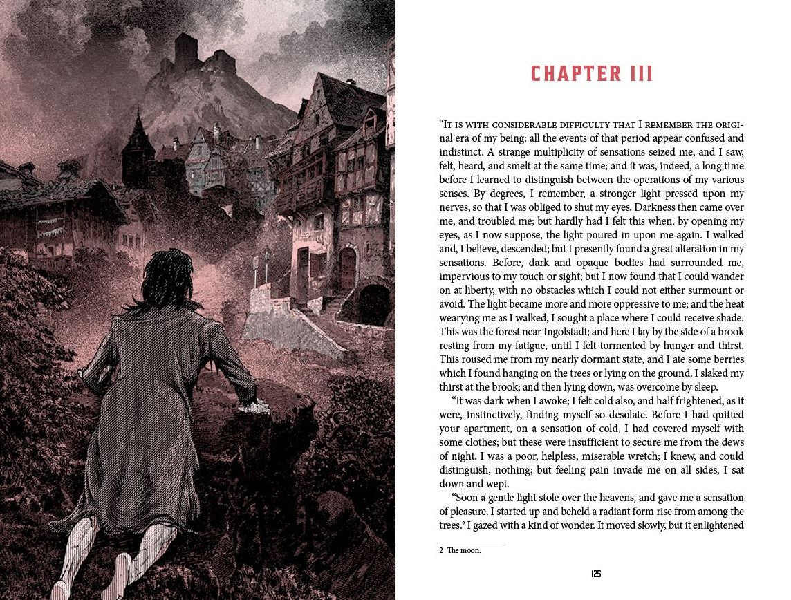Frankenstein: Deluxe Illustrated Classics