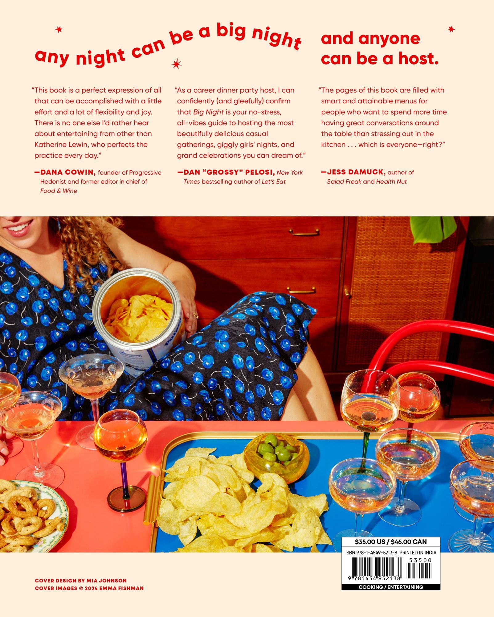 Big Night: Dinners, Parties & Dinner Parties - A Cookbook