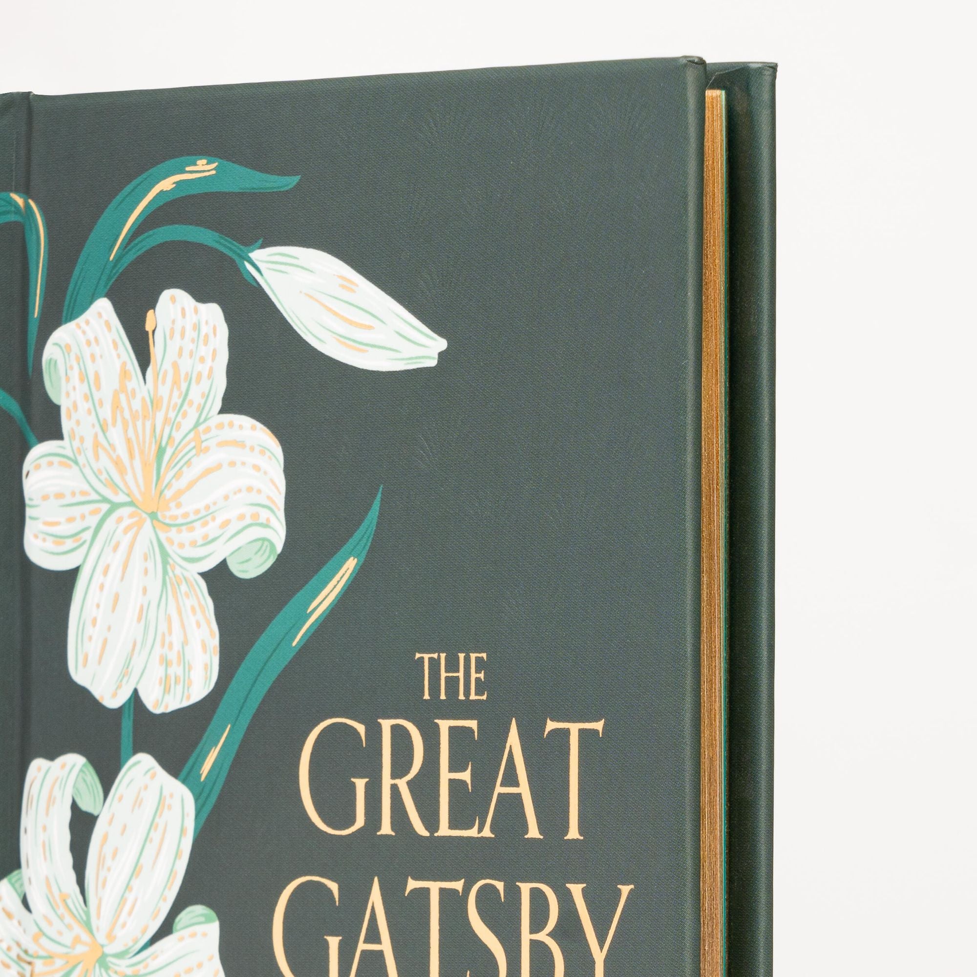 The Great Gatsby (Special Edition)