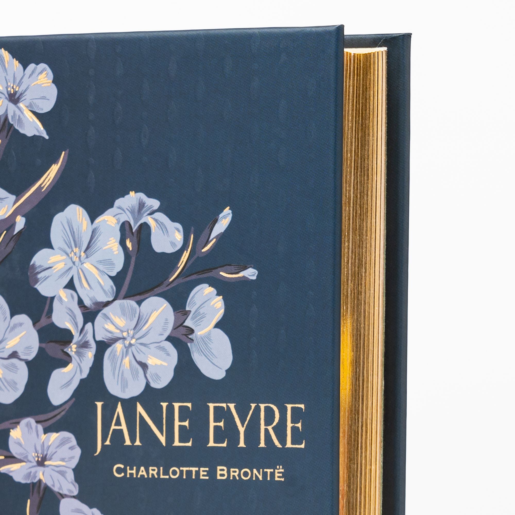 Jane Eyre (Special Edition)
