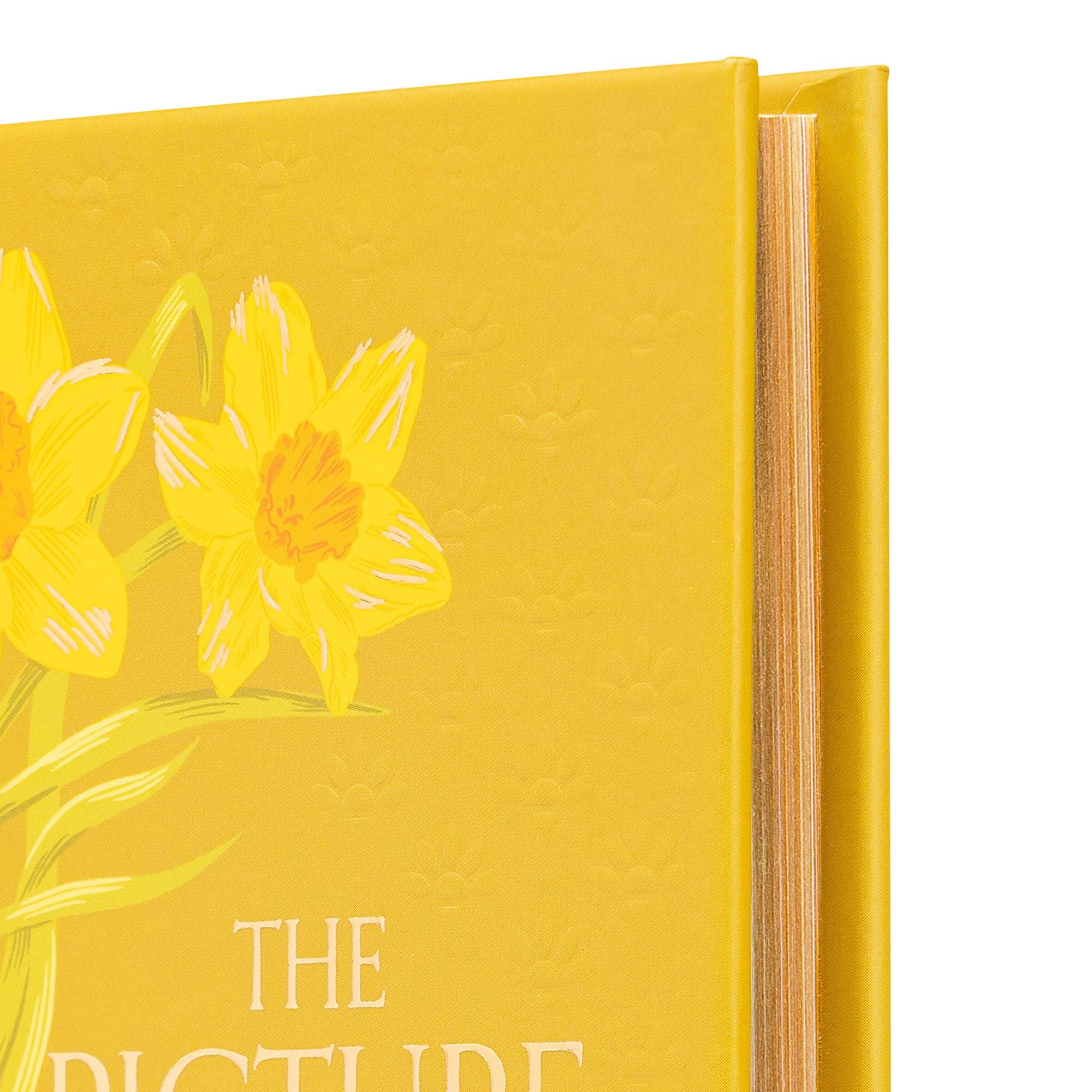 The Picture of Dorian Gray (Special Edition)