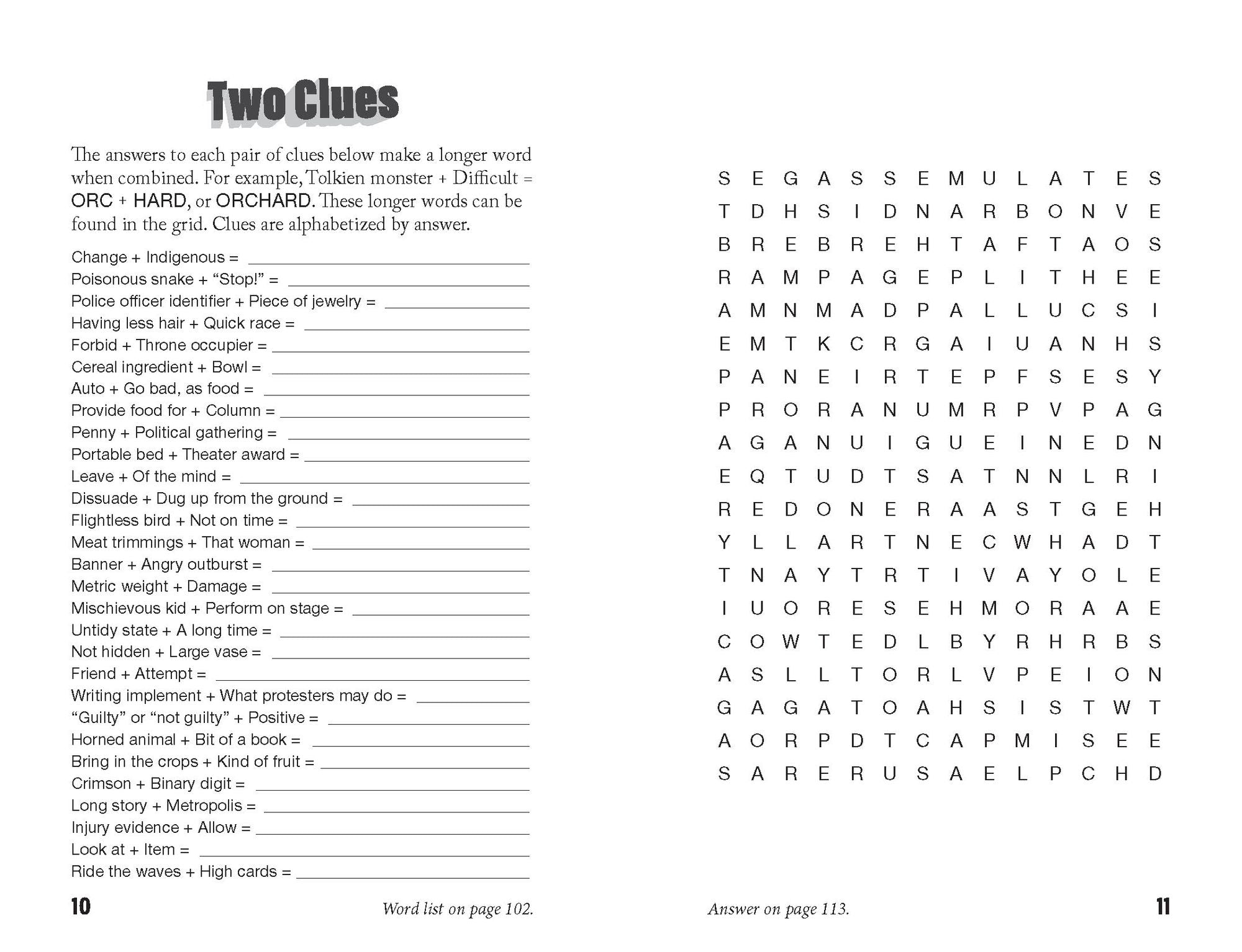 Off-the-Wall Word Searches