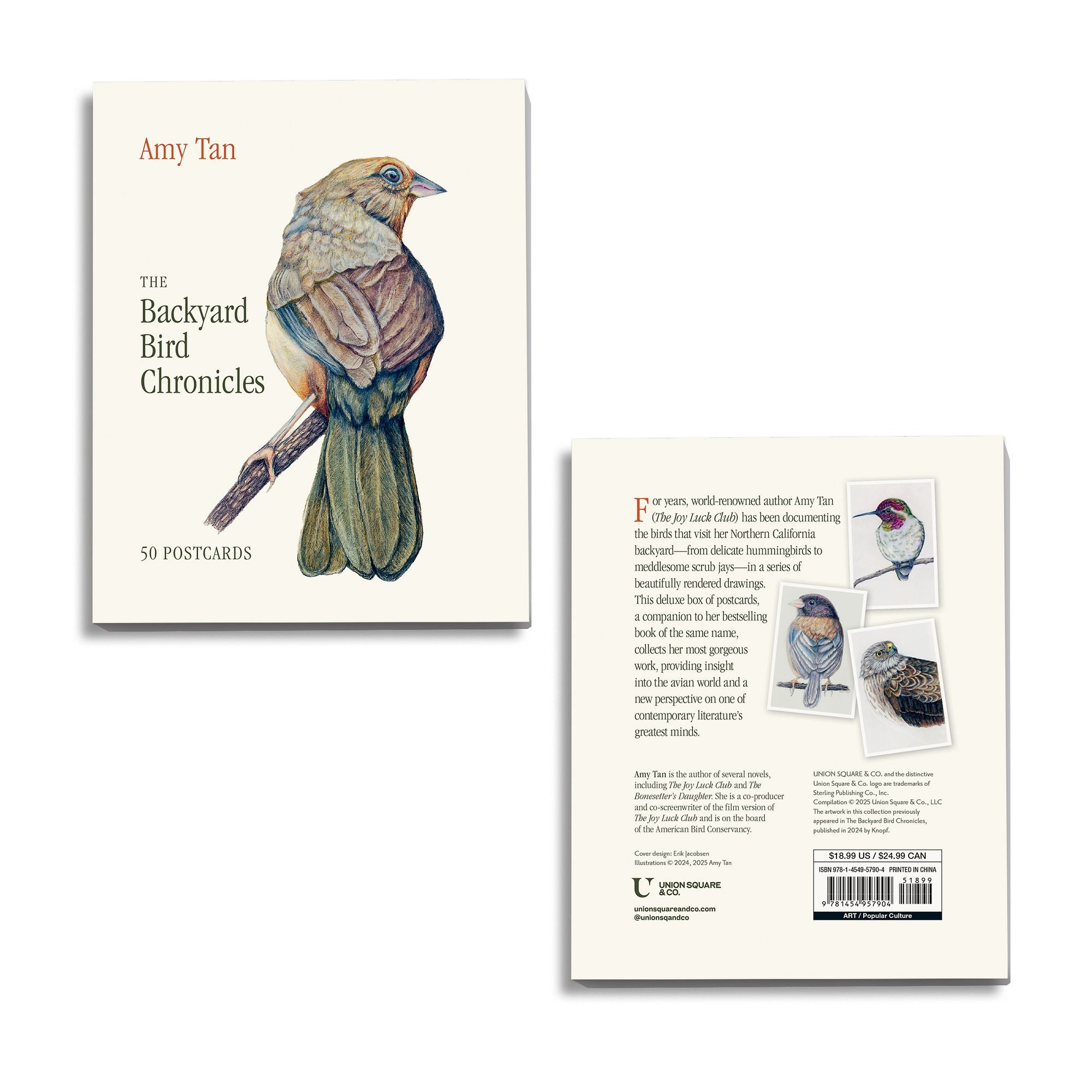 The Backyard Bird Chronicles: 50 Postcards