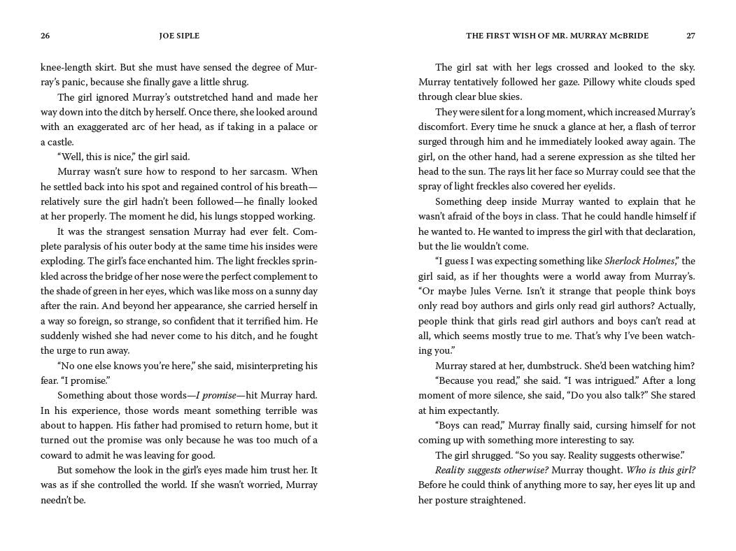 The First Wish of Mr. Murray McBride: A Novel