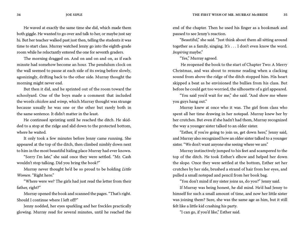 The First Wish of Mr. Murray McBride: A Novel