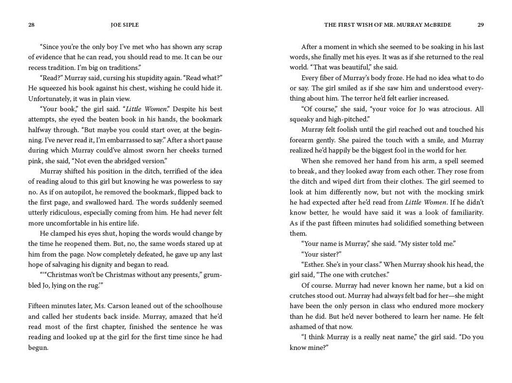 The First Wish of Mr. Murray McBride: A Novel