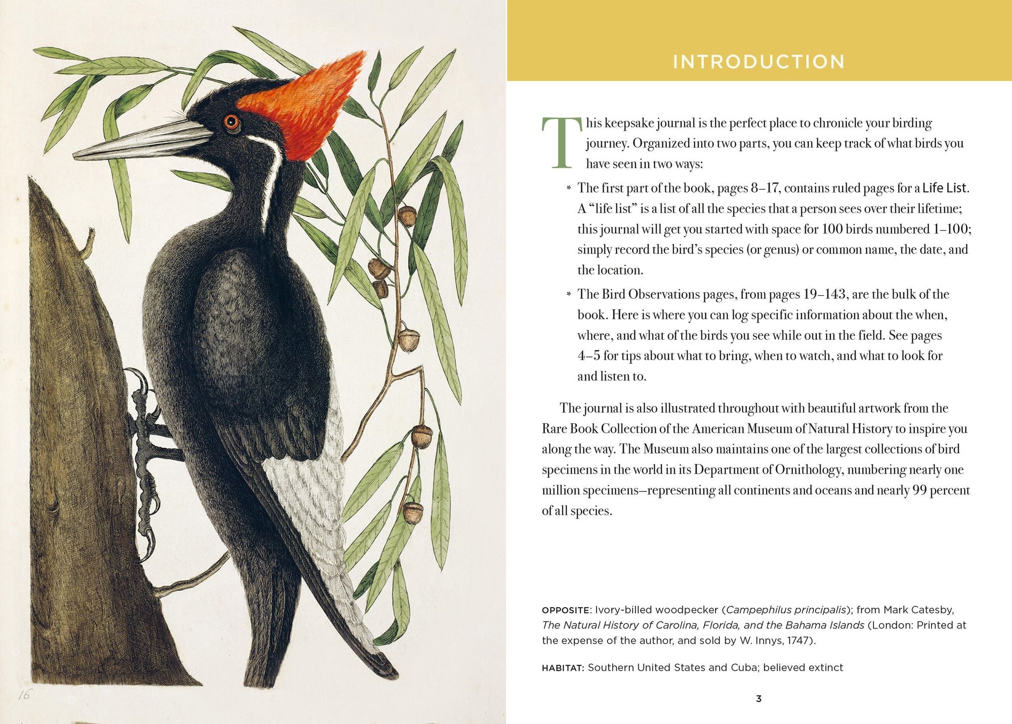 The Birdwatcher's Field Journal: A Life List and Birding Diary