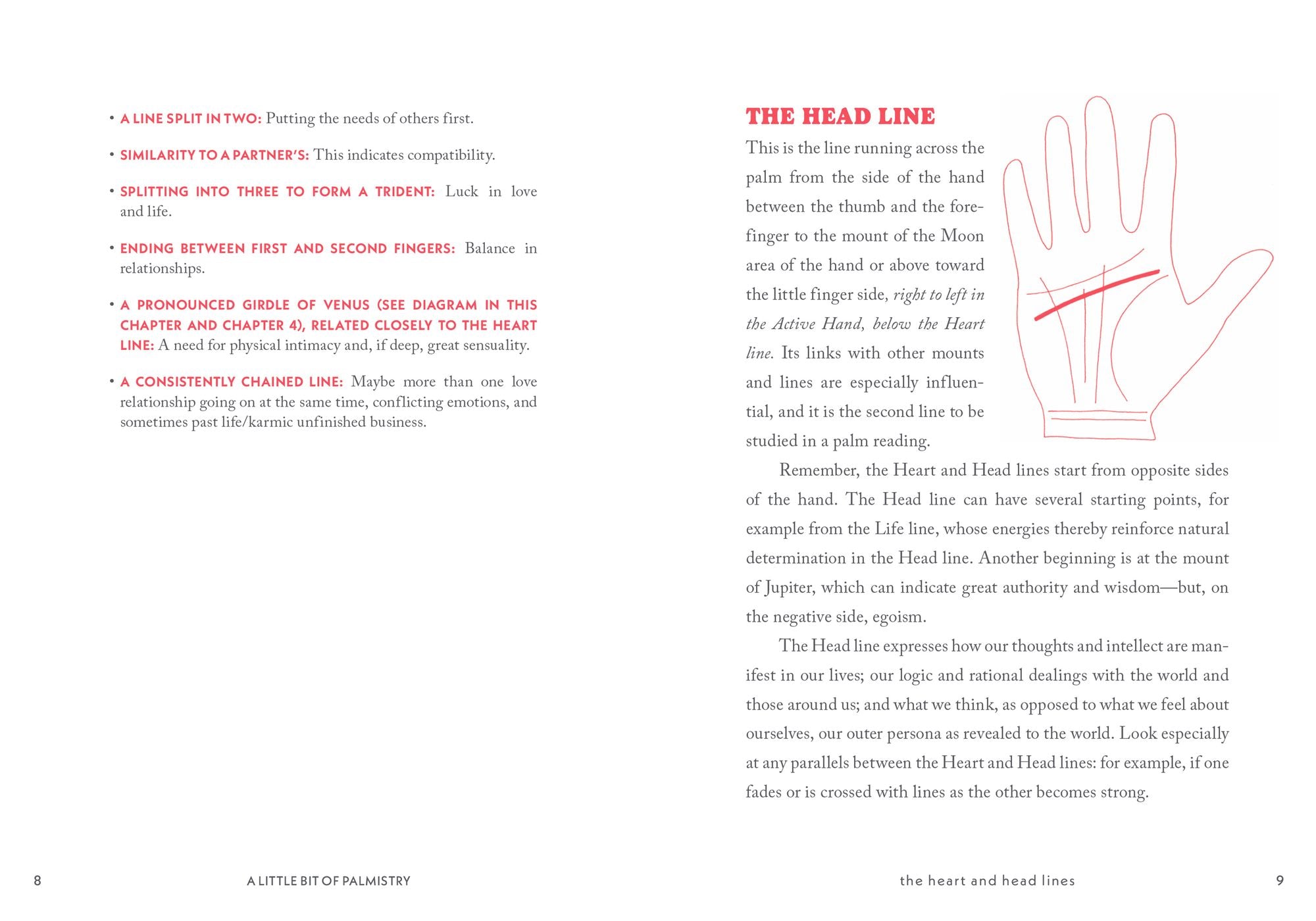 A Little Bit of Palmistry: An Introduction to Palm Reading