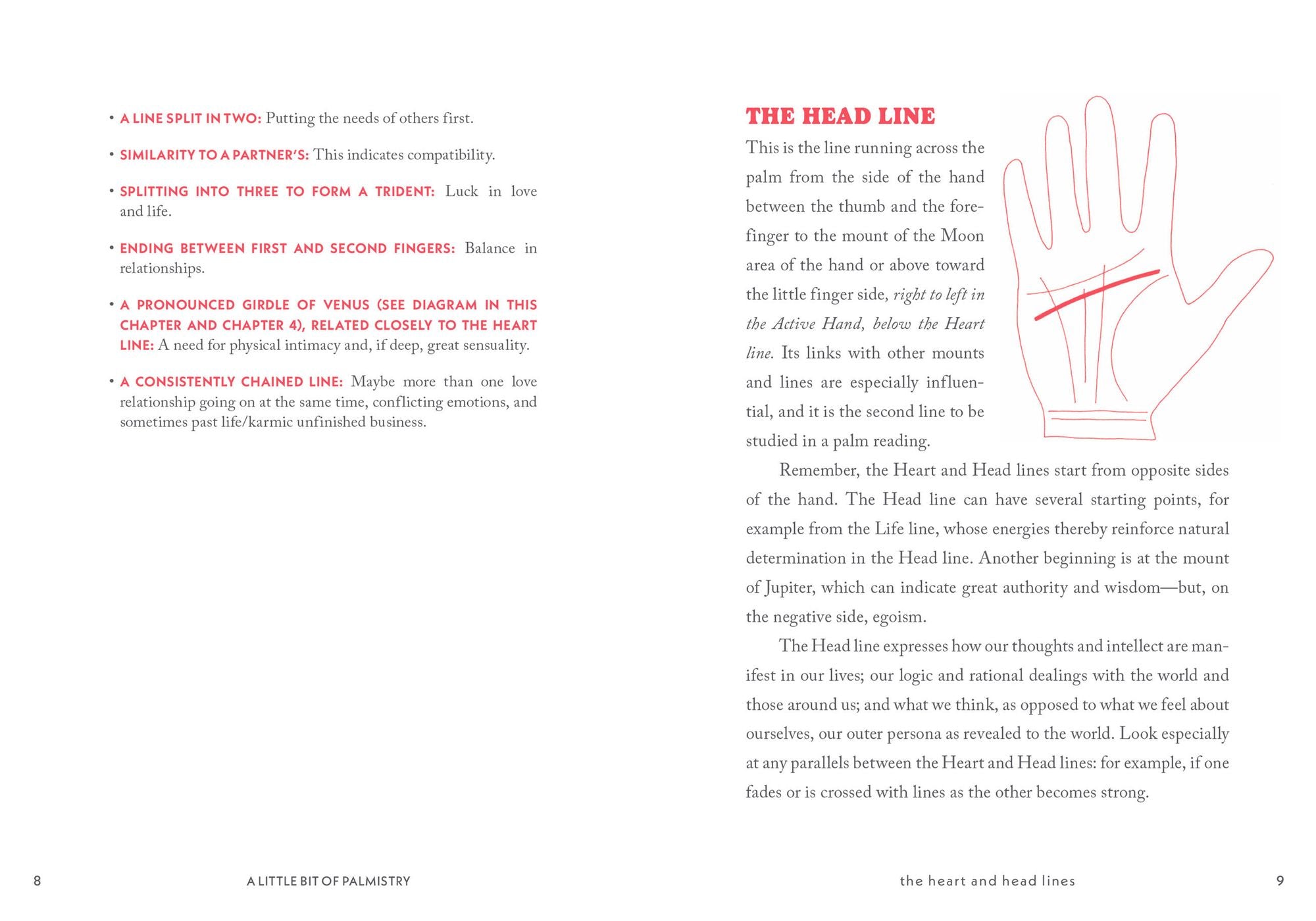 A Little Bit of Palmistry: An Introduction to Palm Reading