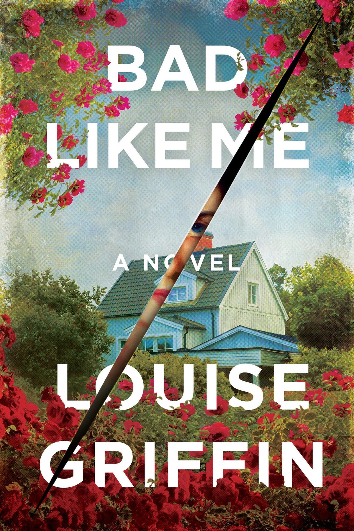 Bad Like Me: A Novel