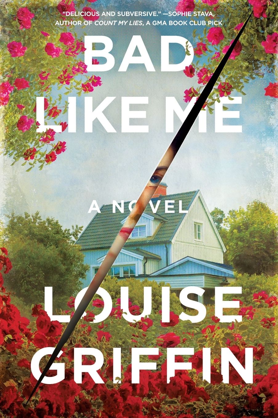 Bad Like Me: A Novel