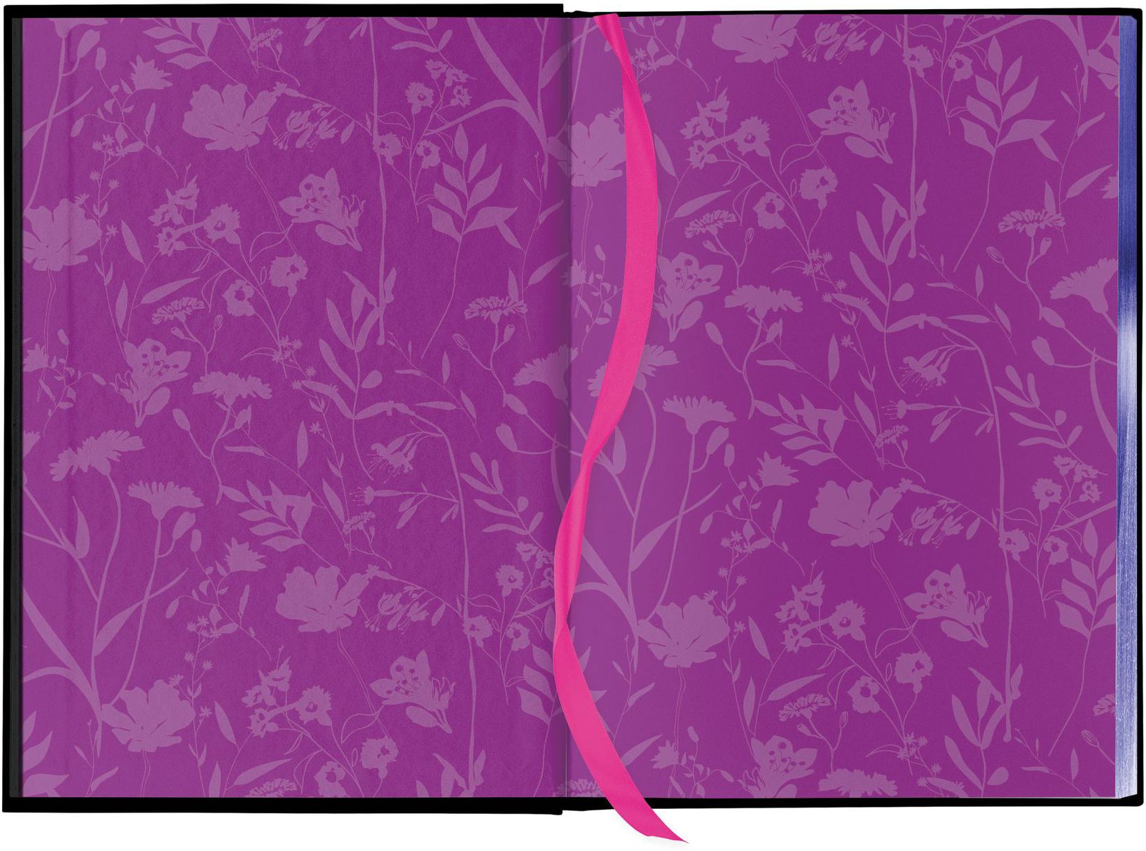 Fairy Tale Retellings, Volume I