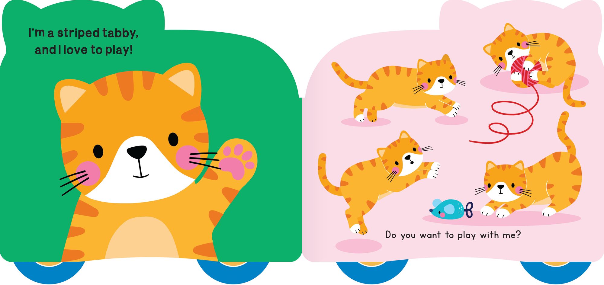 Rolling Pals: Matt the Cat