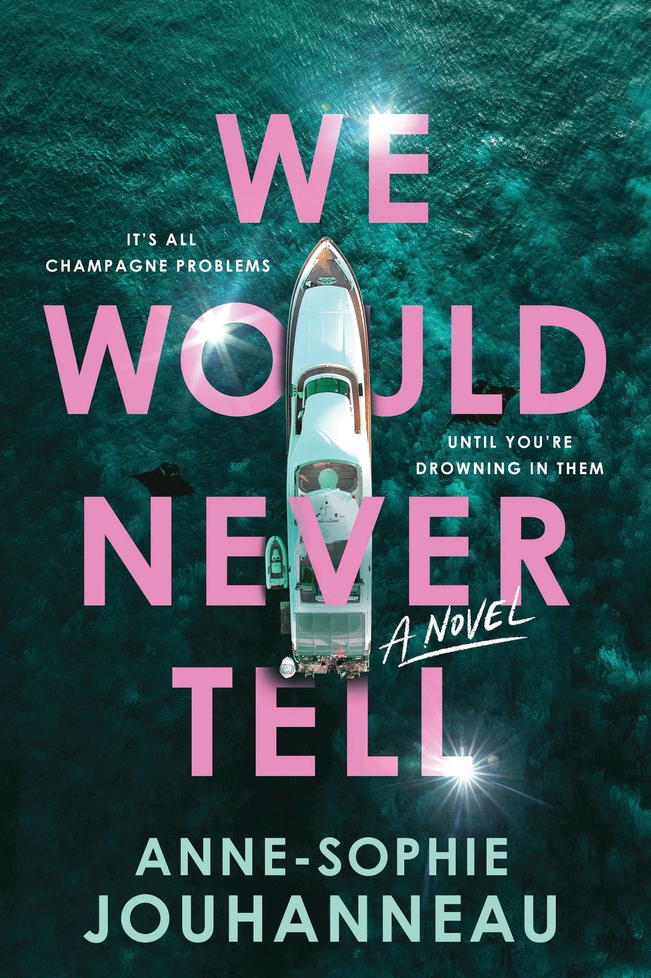 We Would Never Tell: A Novel