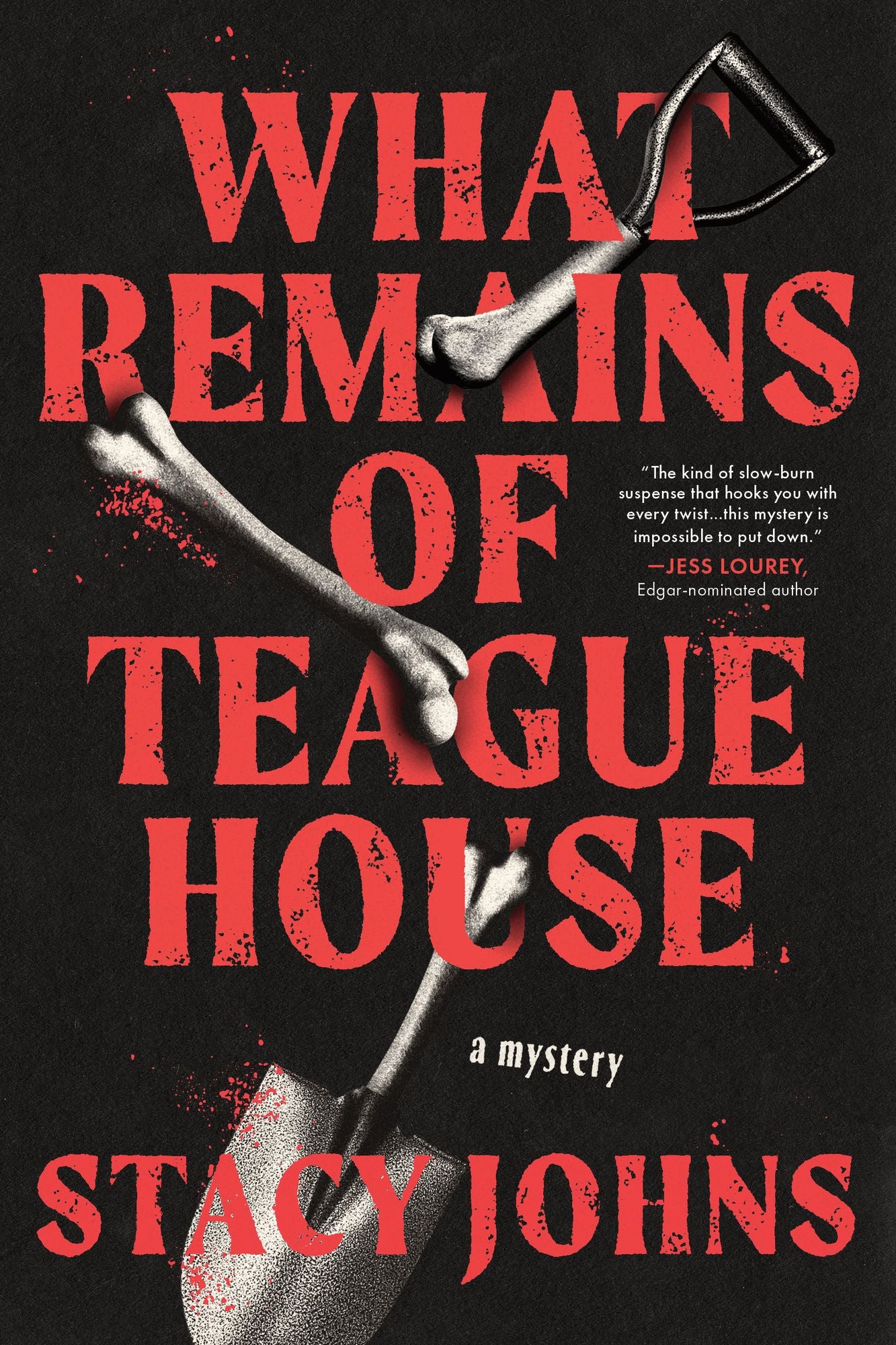 What Remains of Teague House: A Mystery