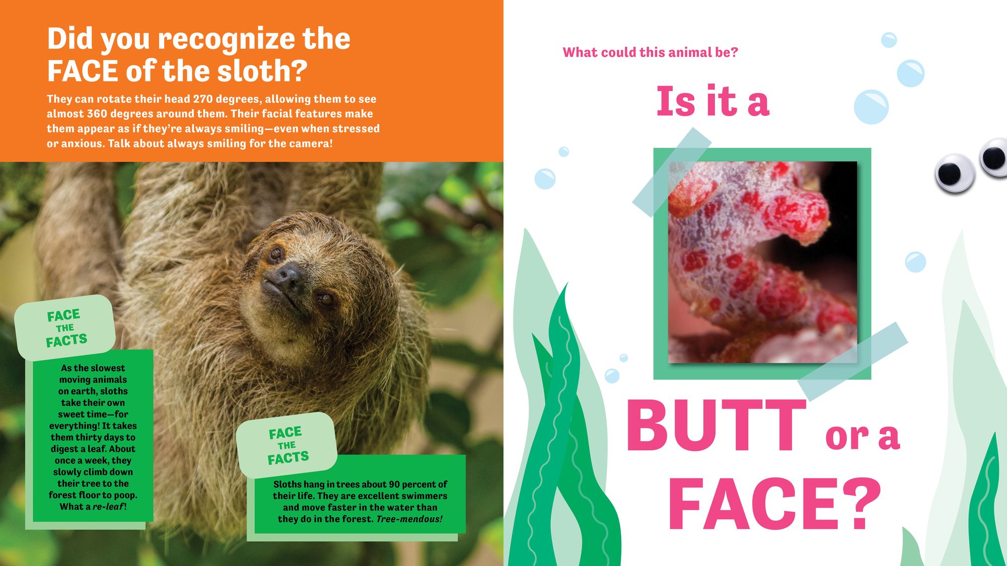 Butt or Face? Volume 4: Ador-A-Butts!