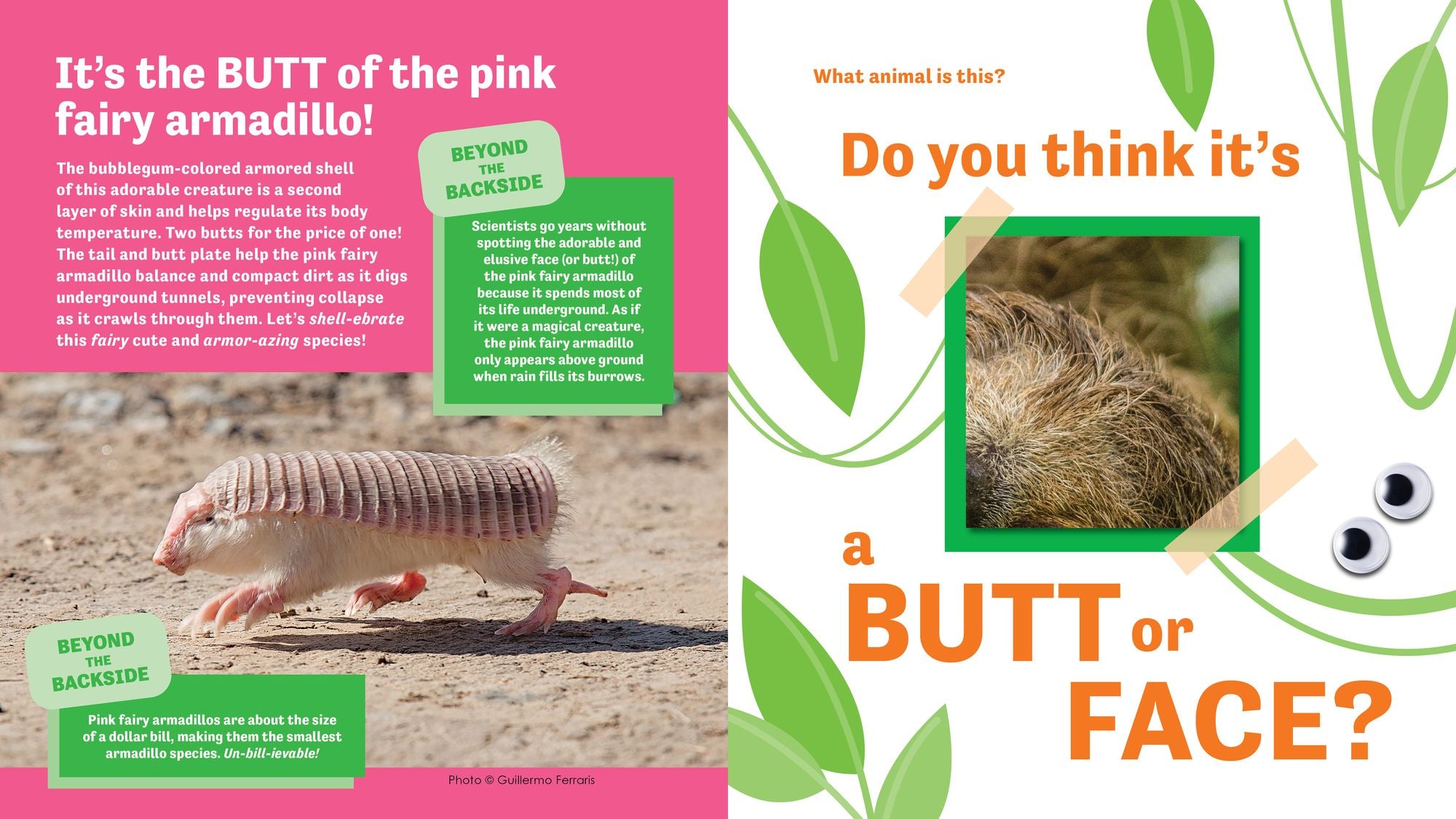 Butt or Face? Volume 4: Ador-A-Butts!