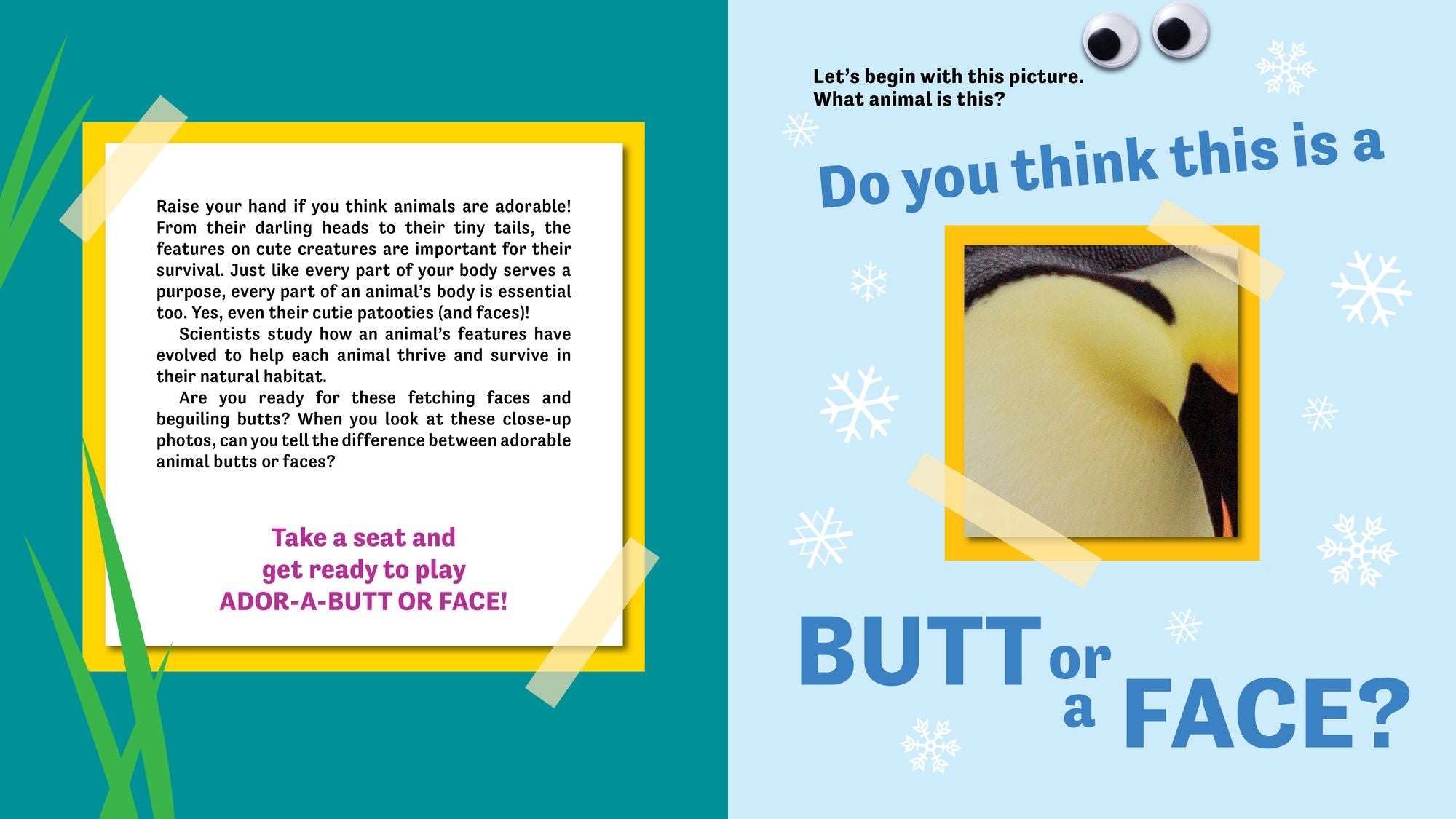 Butt or Face? Volume 4: Ador-A-Butts!