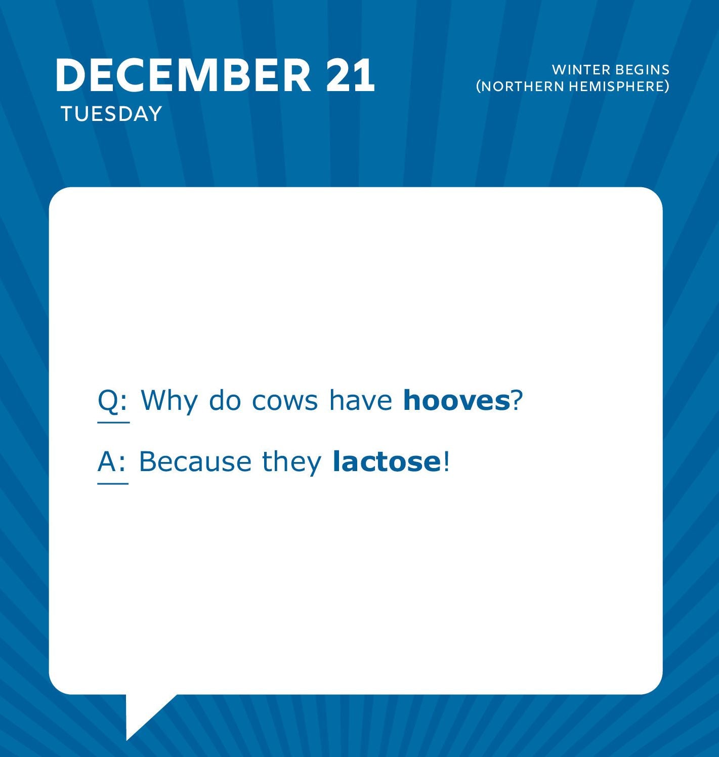 2027 Dad Jokes Boxed Calendar