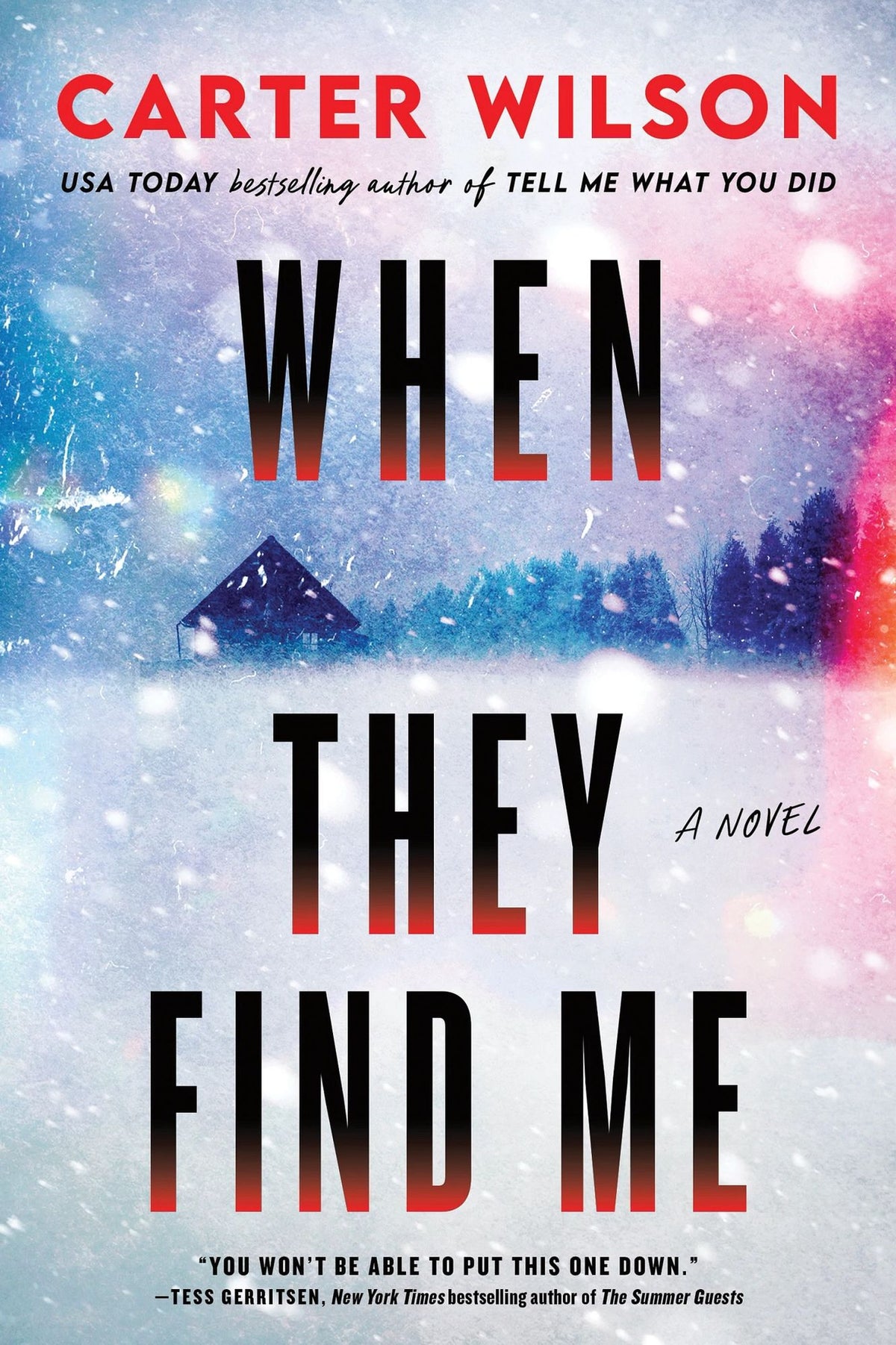 When They Find Me: A Novel