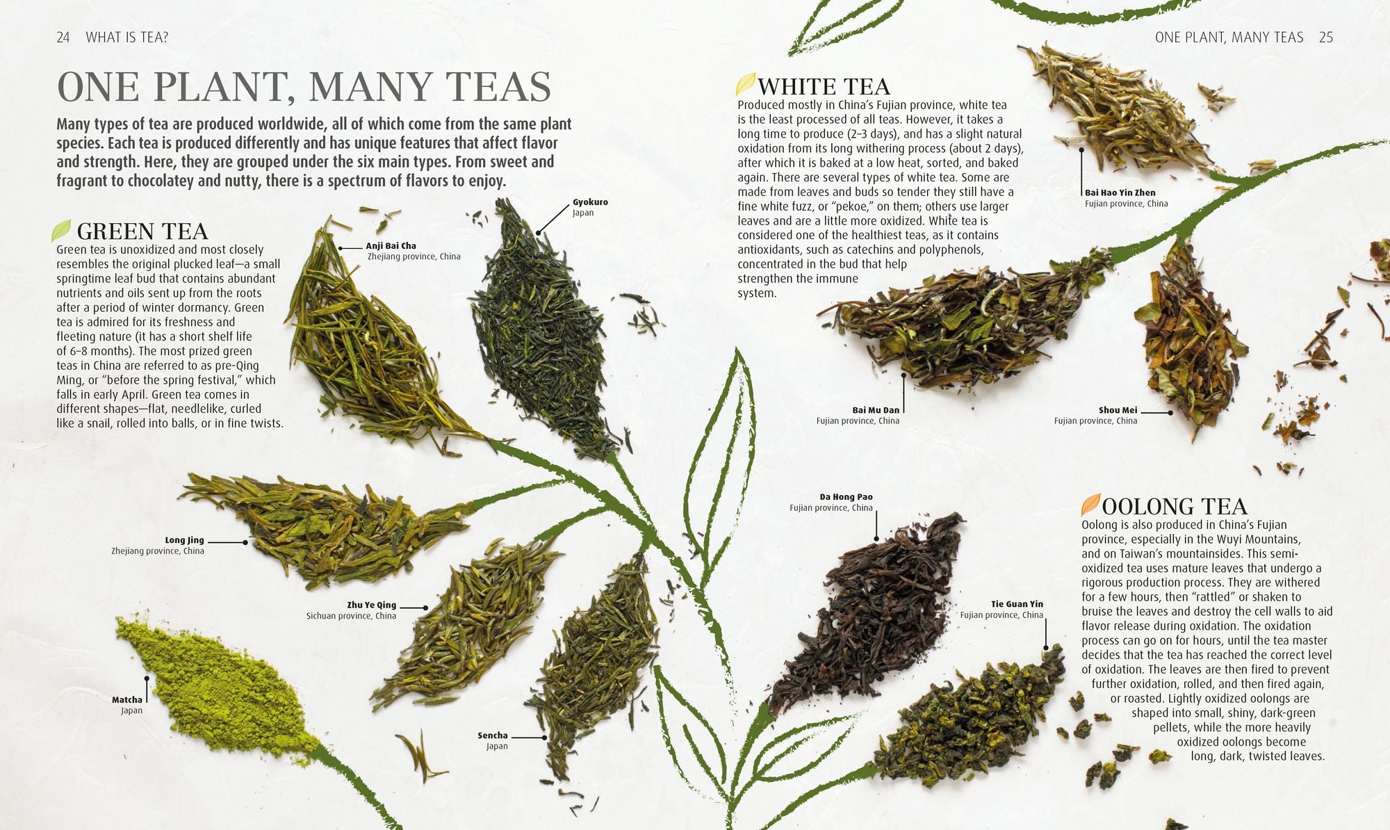 The Tea Book: Experience the Worldâ?Ts Finest Teas, Qualities, Infusions, Rituals, Recipes