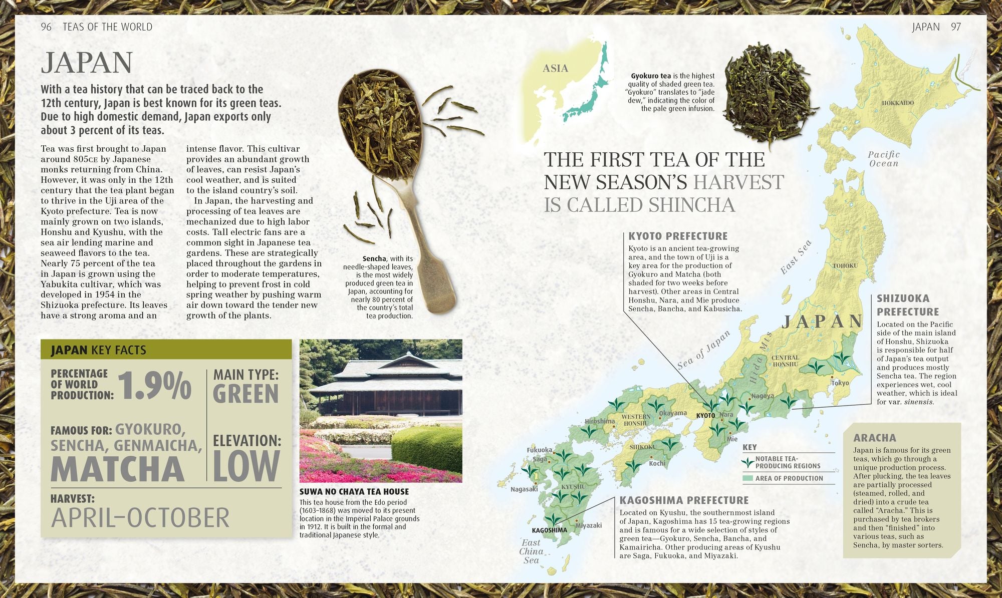 The Tea Book: Experience the Worldâ?Ts Finest Teas, Qualities, Infusions, Rituals, Recipes