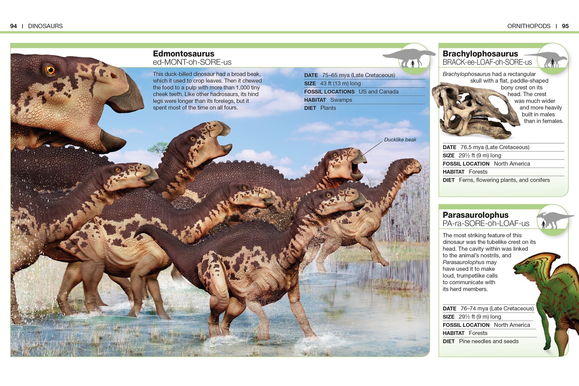 Pocket Genius Dinosaurs: Facts at Your Fingertips