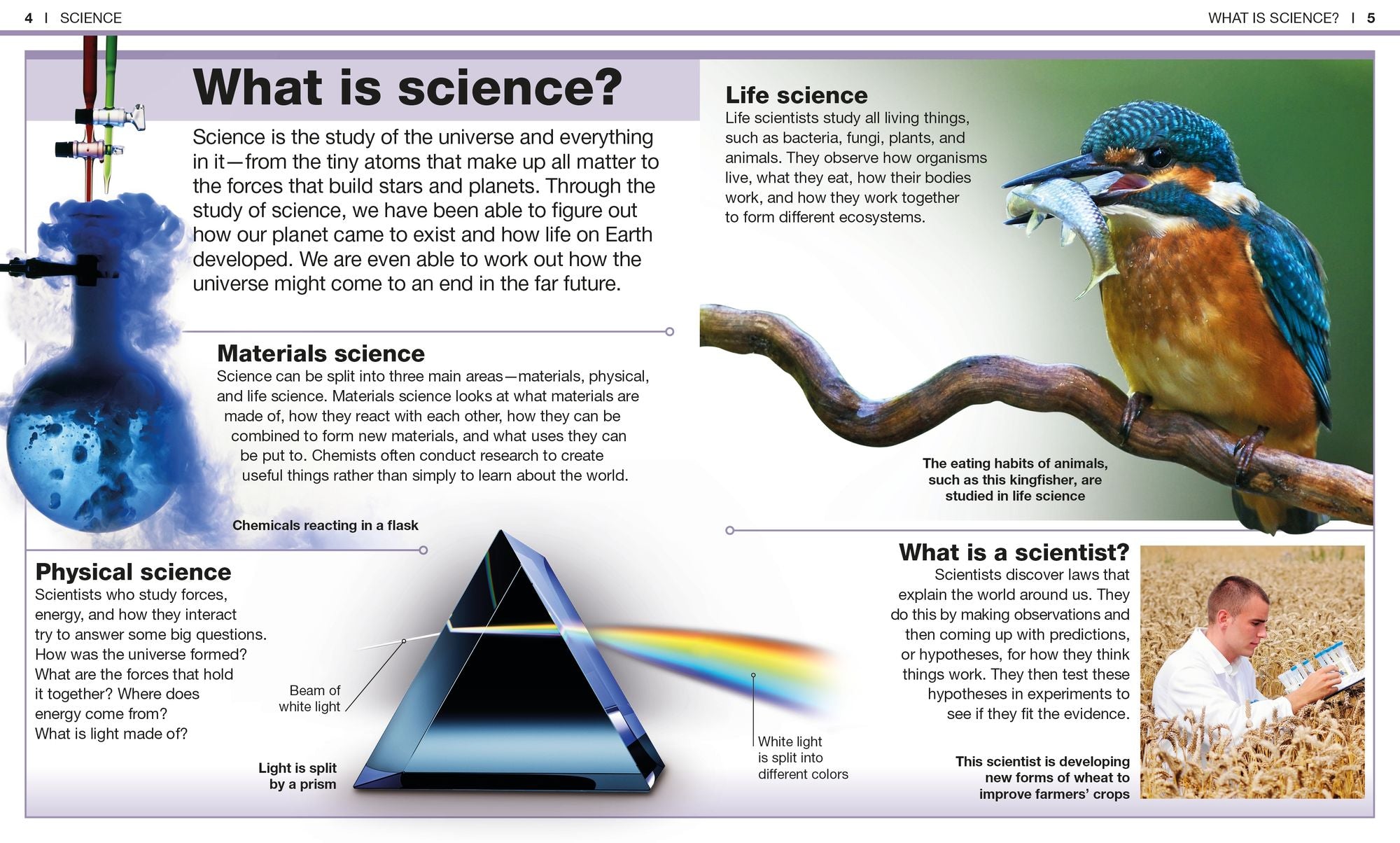 Pocket Genius Science: Facts at Your Fingertips