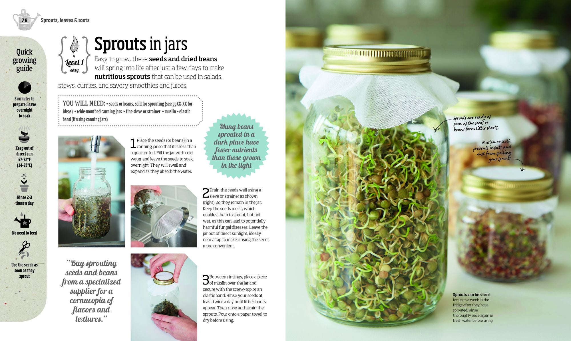 Indoor Edible Garden: Creative Ways to Grow Herbs, Fruits, and Vegetables in Your Home