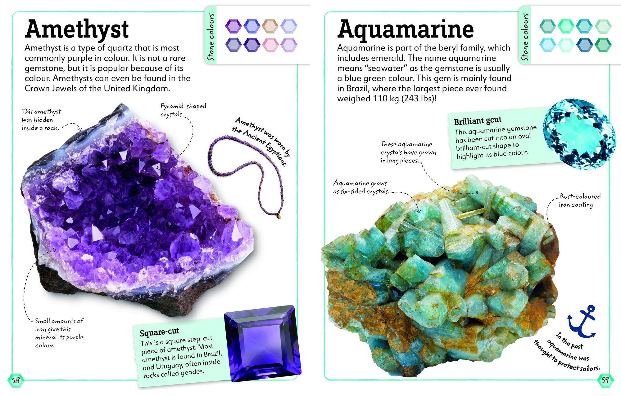 My Book of Rocks and Minerals: Things to Find, Collect, and Treasure