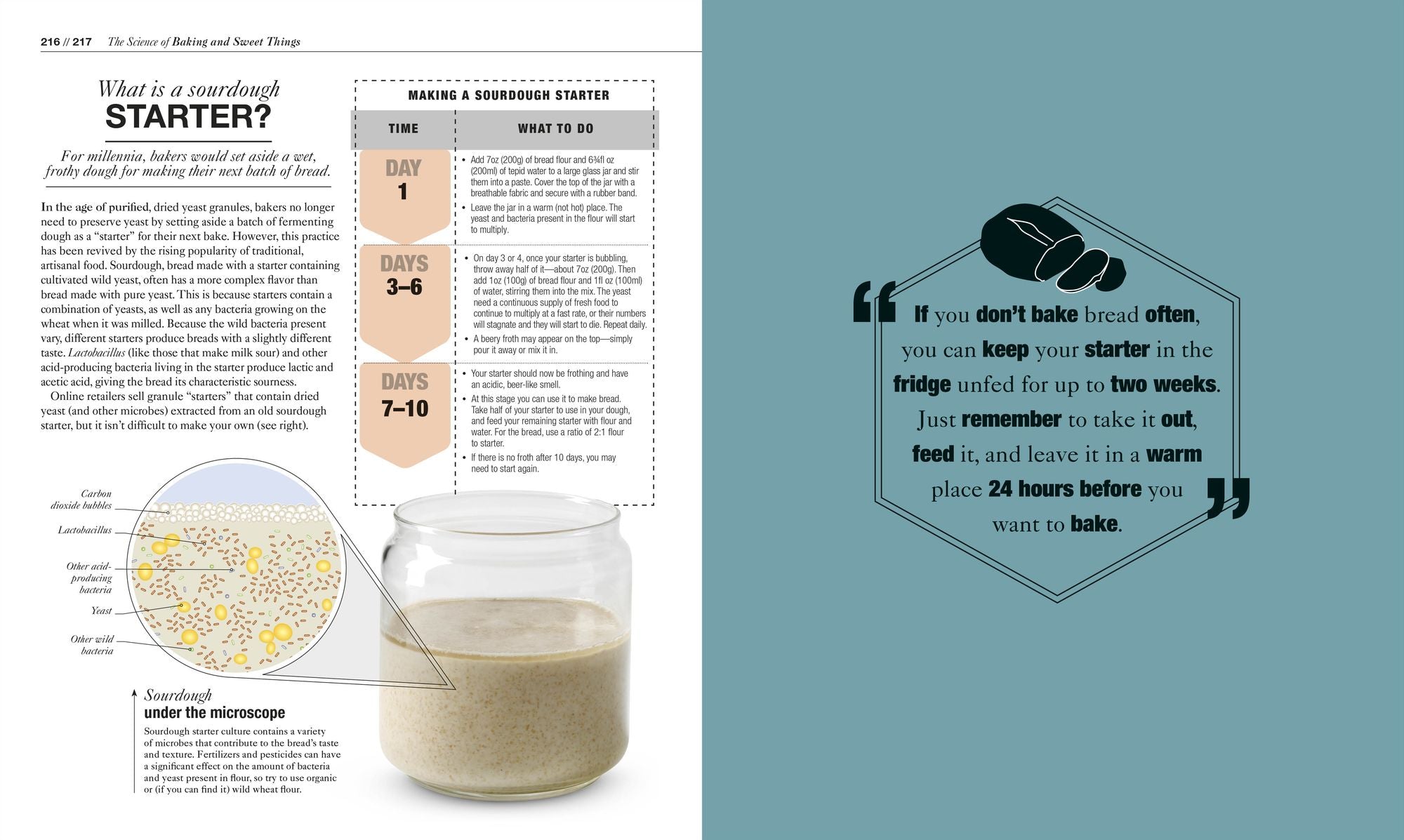 The Science of Cooking: Every Question Answered to Perfect Your Cooking