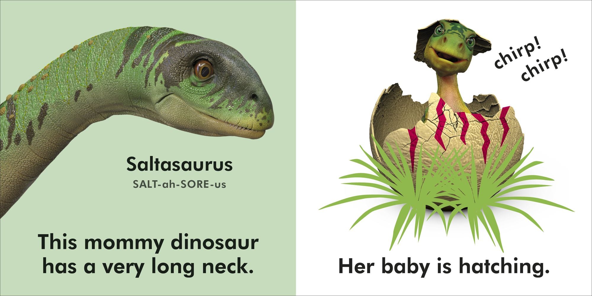 Baby Touch and Feel: Baby Dinosaur