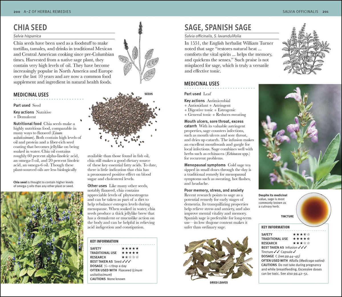 Herbal Remedies Handbook: More Than 140 Plant Profiles; Remedies for Over 50 Common Conditions
