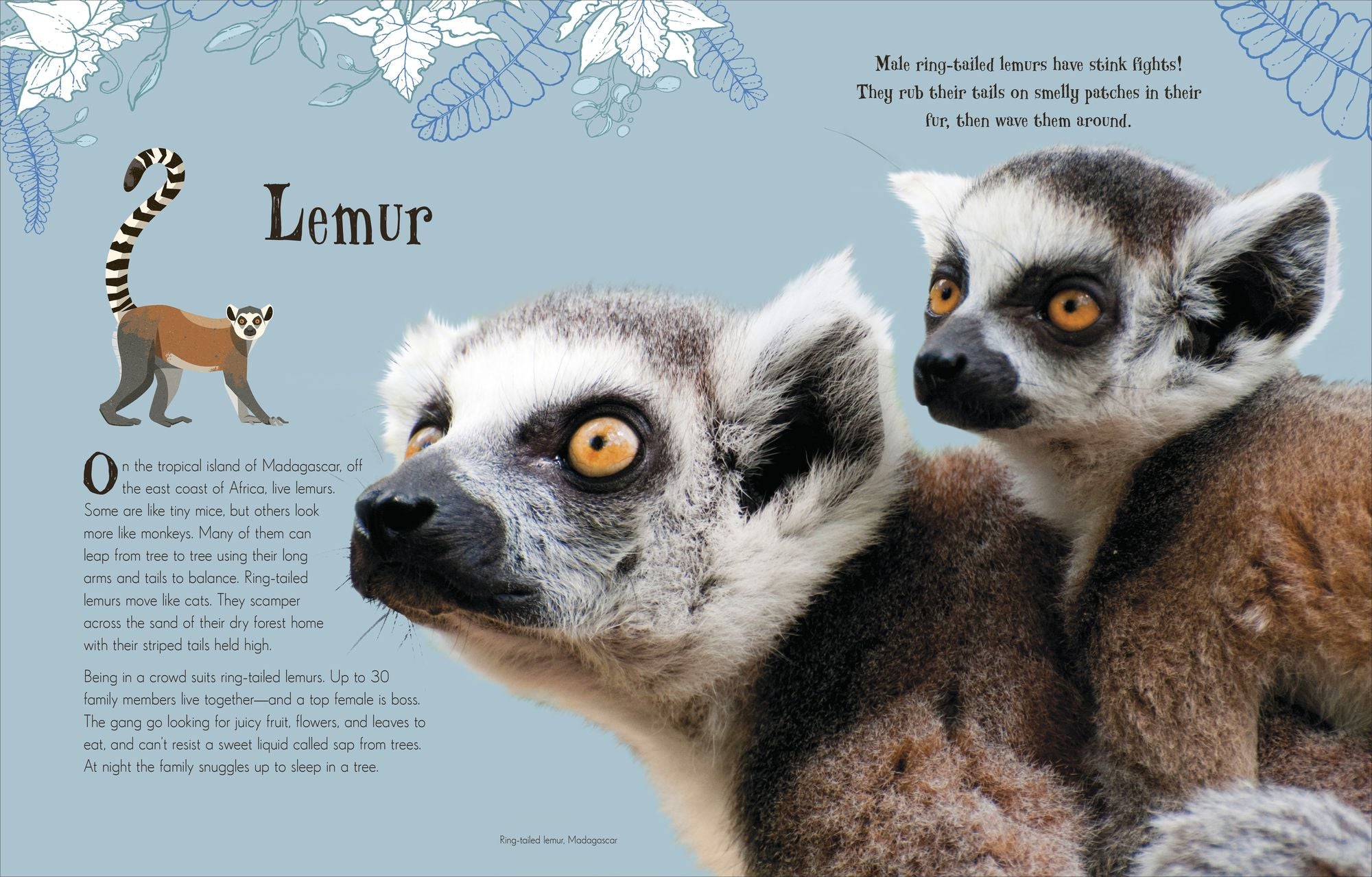An Anthology of Intriguing Animals: Discover the Fascinating Truths of the Animal Kingdom