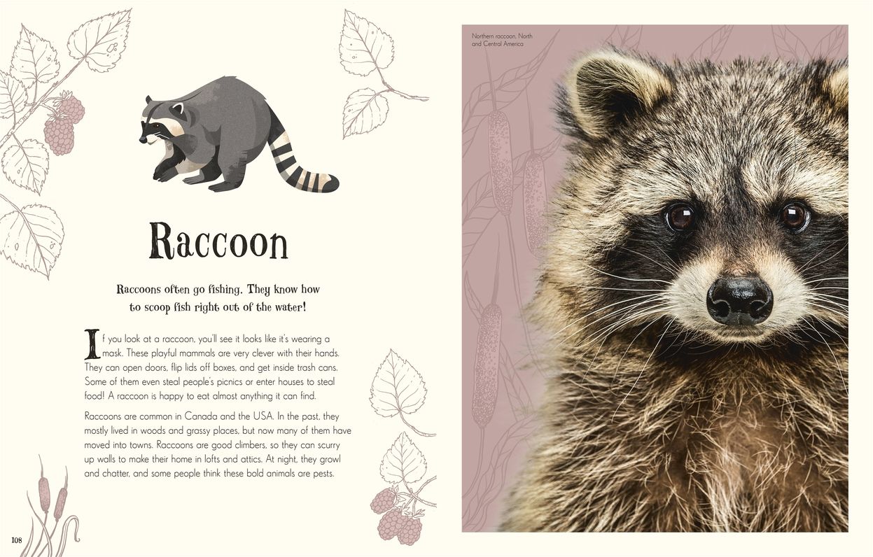An Anthology of Intriguing Animals: Discover the Fascinating Truths of the Animal Kingdom
