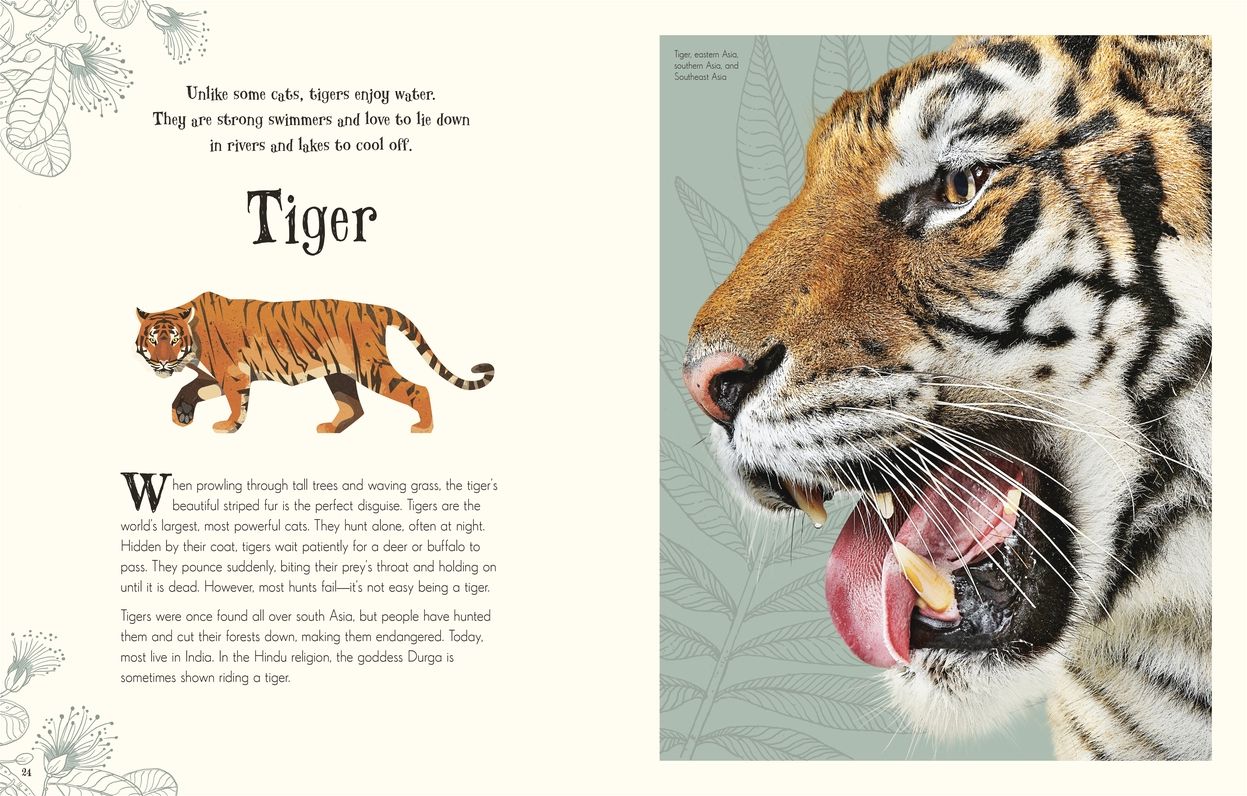An Anthology of Intriguing Animals: Discover the Fascinating Truths of the Animal Kingdom