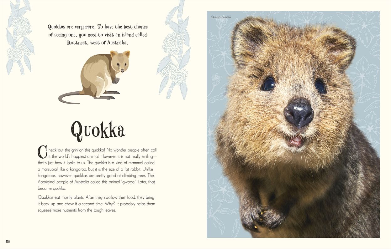 An Anthology of Intriguing Animals: Discover the Fascinating Truths of the Animal Kingdom