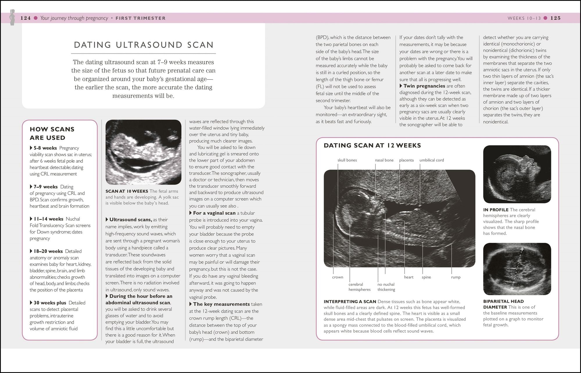 I'm Pregnant!: A week-by-week guide from conception to birth