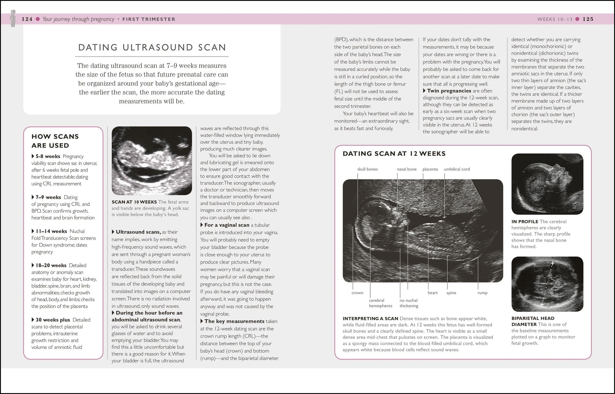 I'm Pregnant!: A week-by-week guide from conception to birth
