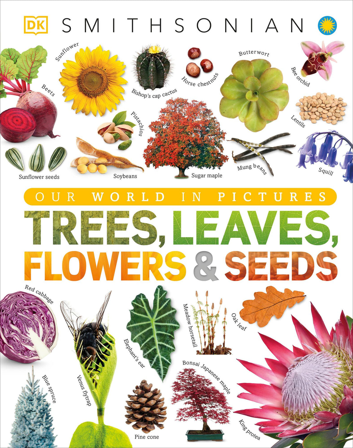 Trees, Leaves, Flowers & Seeds: A Visual Plant Encyclopedia for Kids