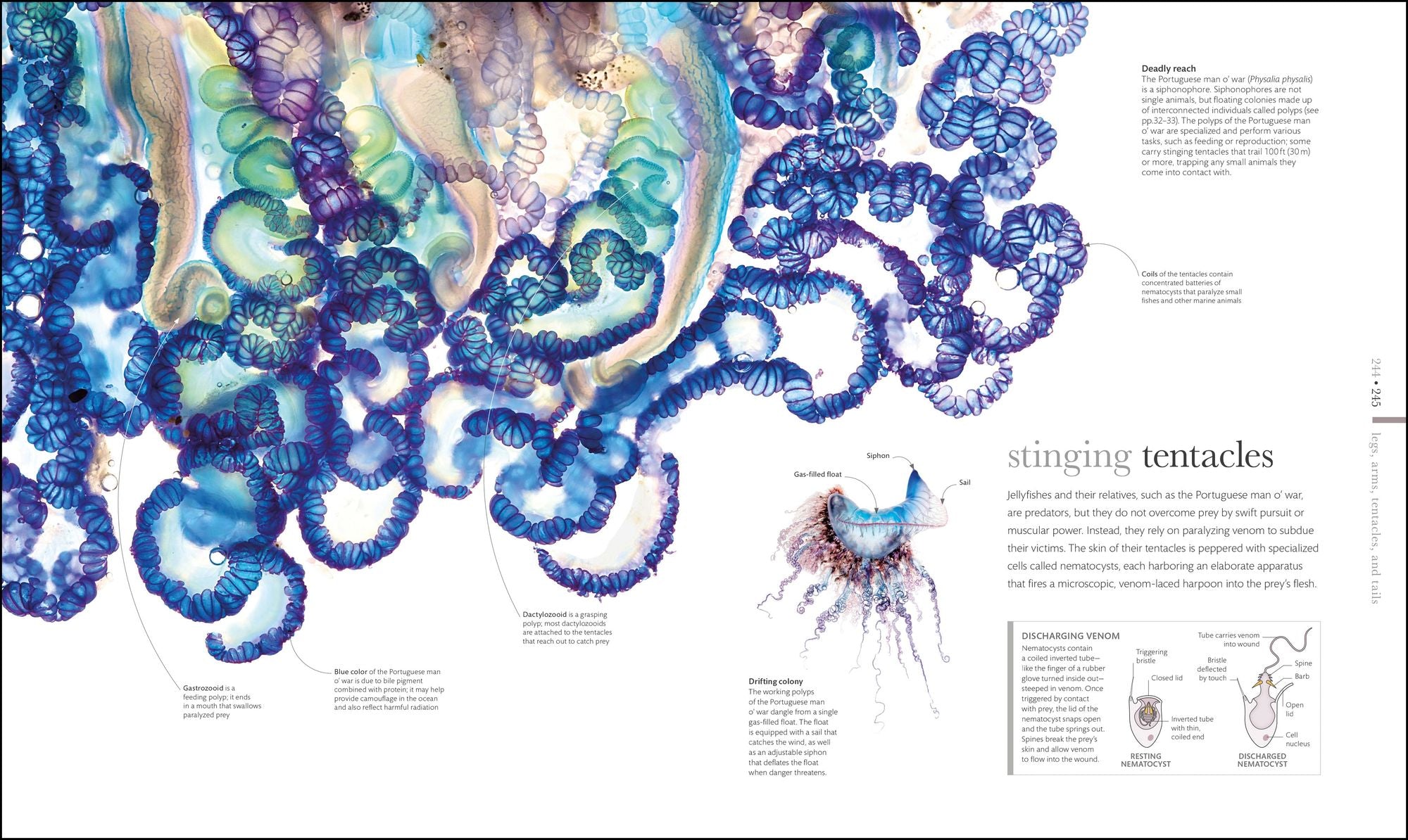 Zoology: Inside the Secret World of Animals