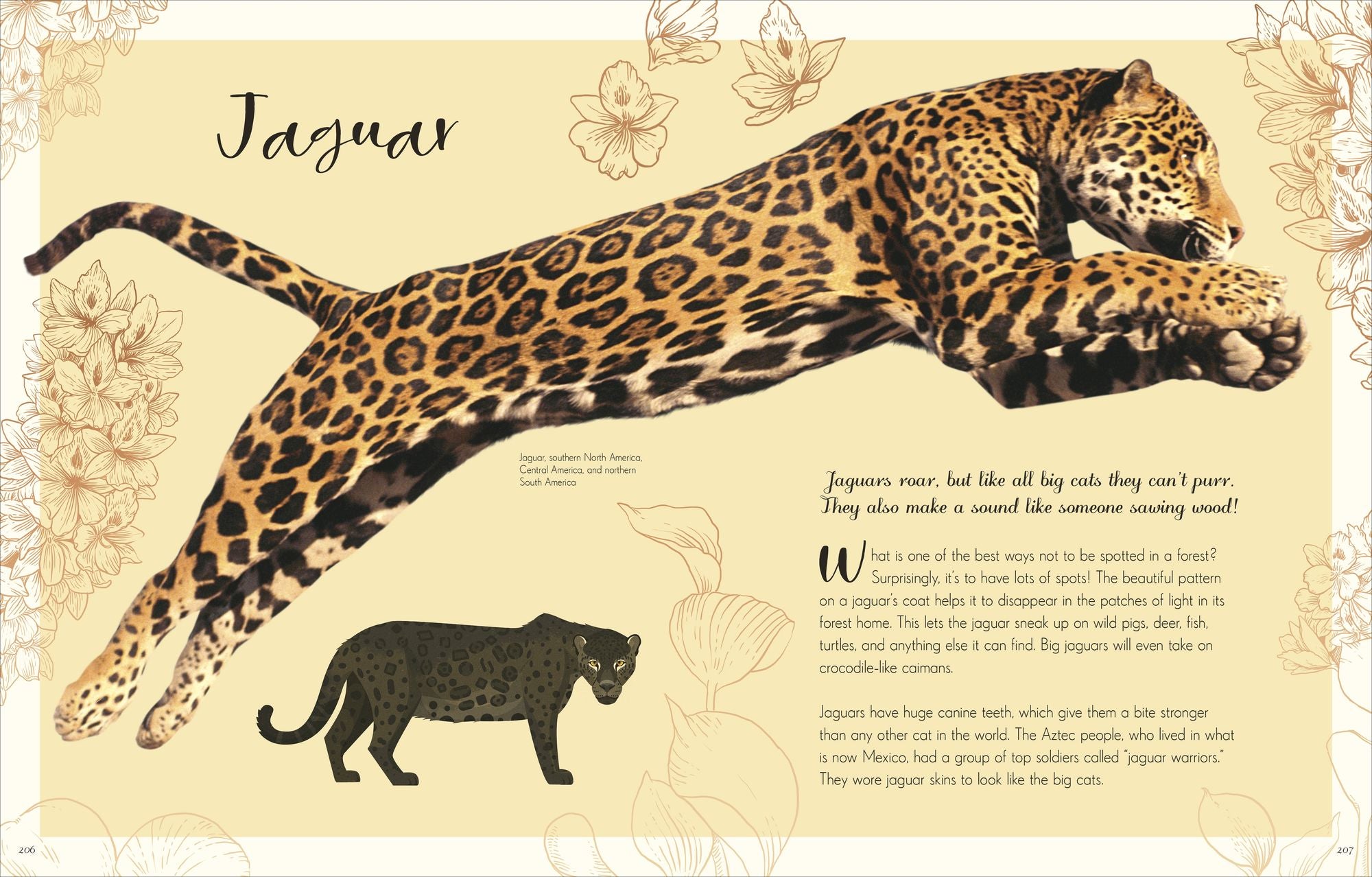 The Wonders of Nature: Discover the Incredible Stories of the Natural World