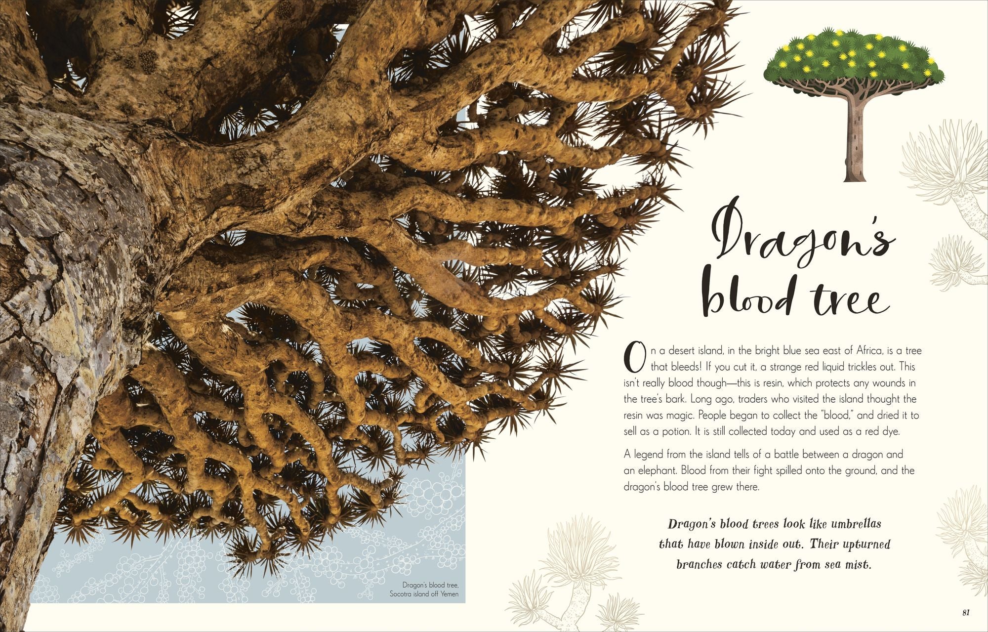 The Wonders of Nature: Discover the Incredible Stories of the Natural World