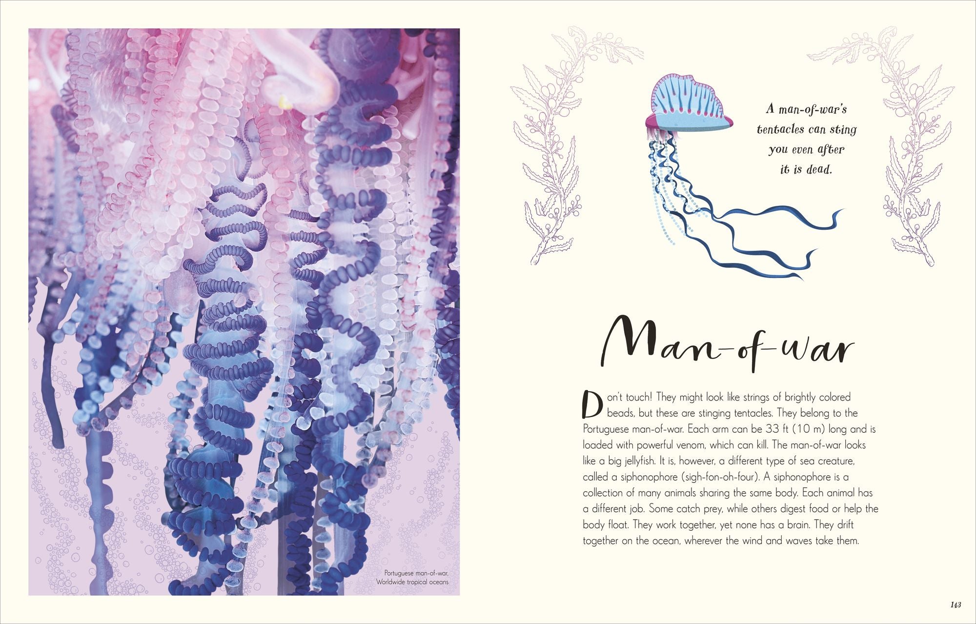 The Wonders of Nature: Discover the Incredible Stories of the Natural World