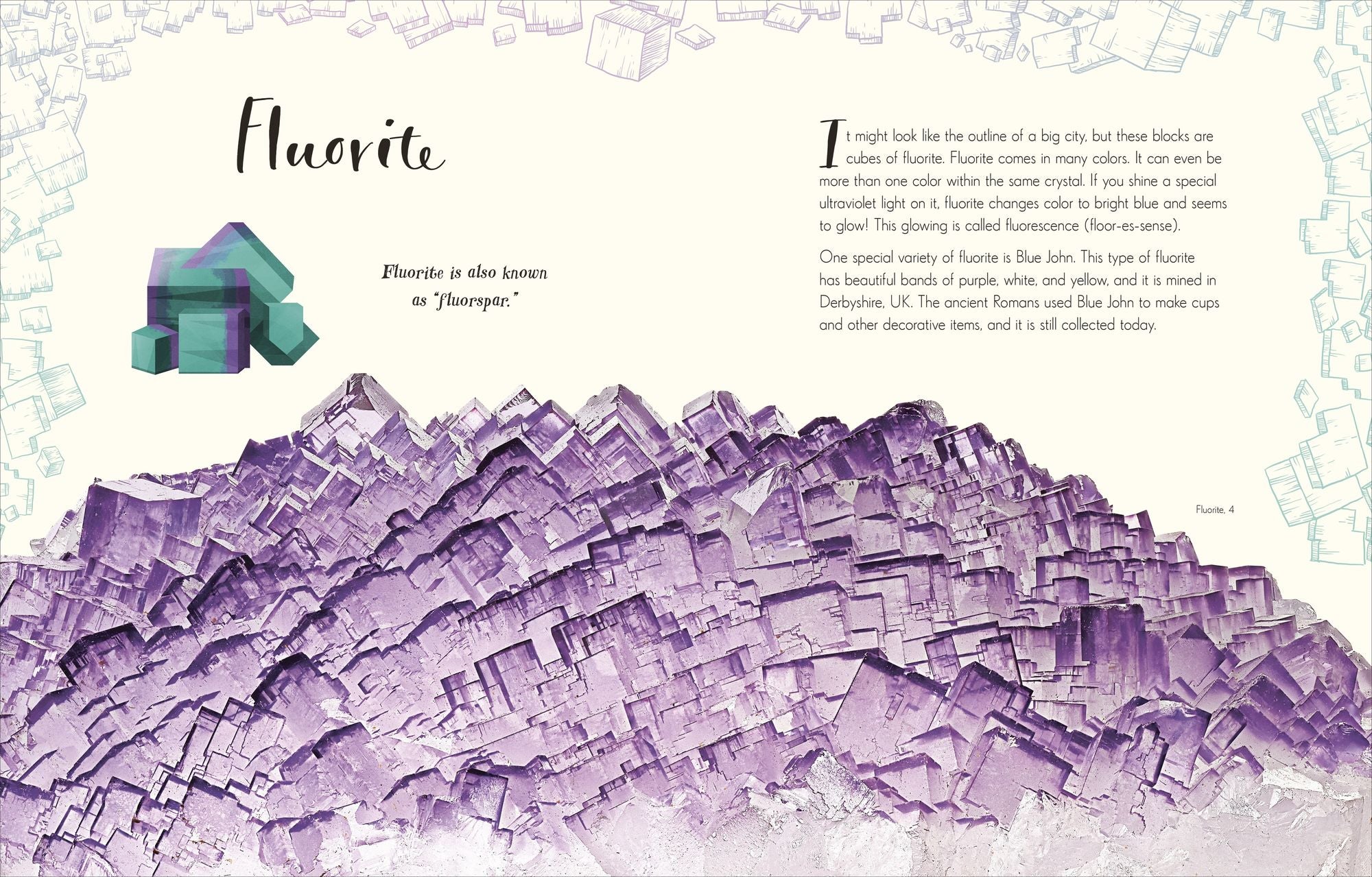 The Wonders of Nature: Discover the Incredible Stories of the Natural World