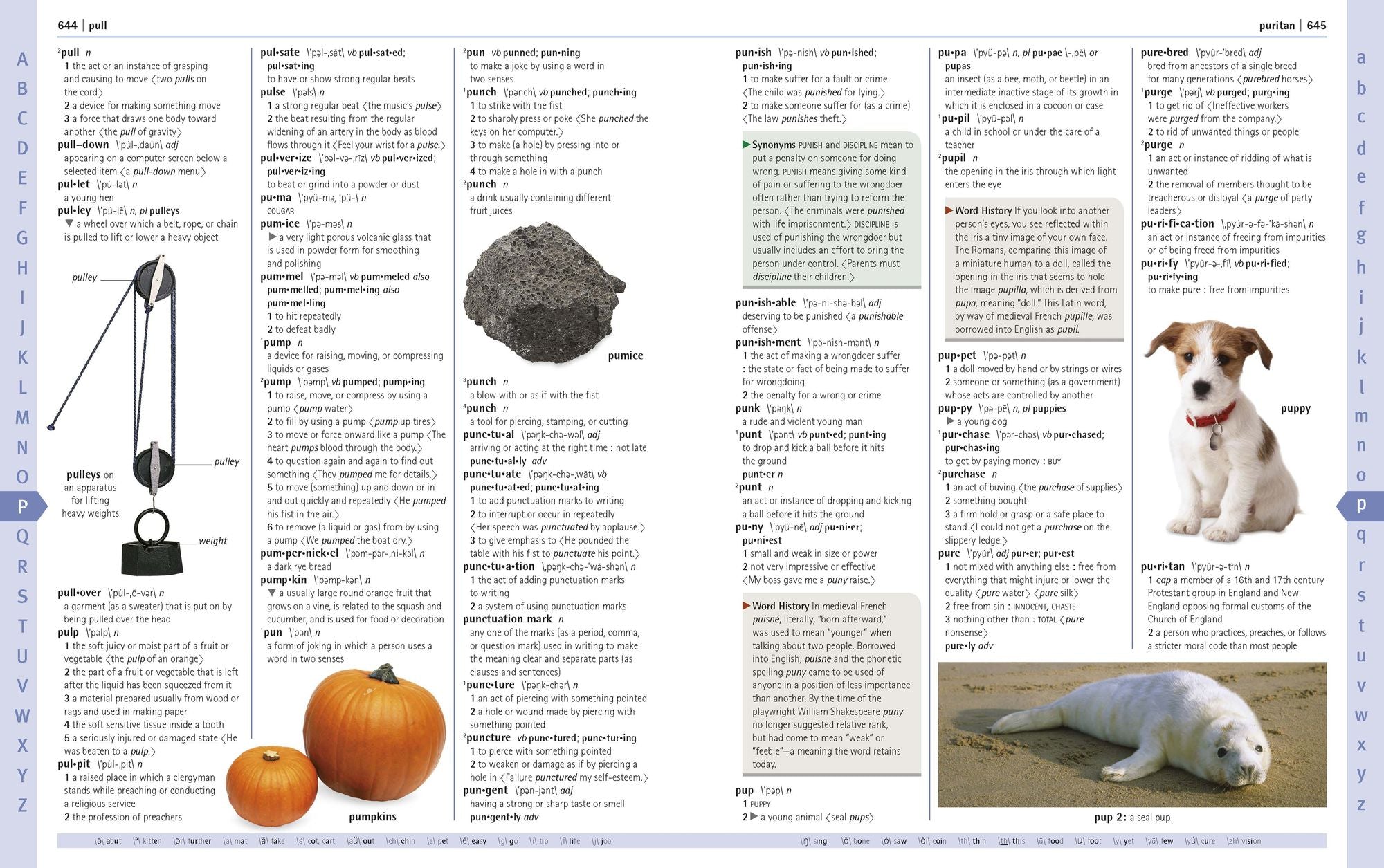 Merriam-Webster Children's Dictionary, New Edition: Features 3,000 Photographs and Illustrations