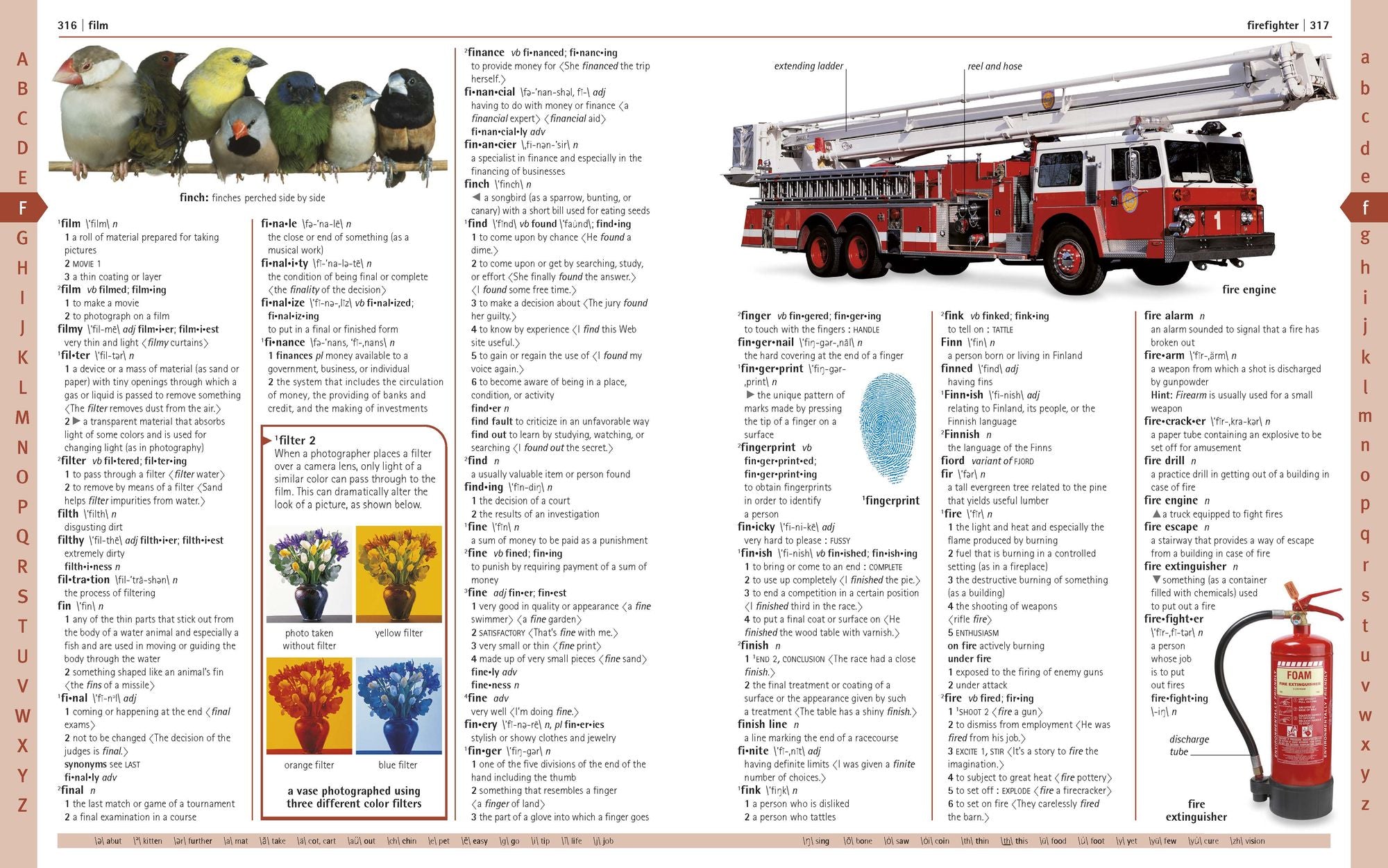 Merriam-Webster Children's Dictionary, New Edition: Features 3,000 Photographs and Illustrations