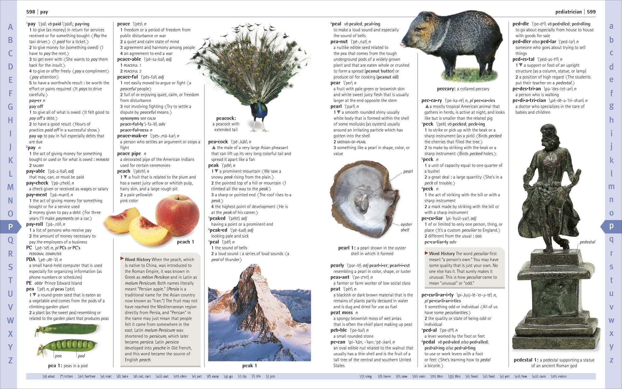 Merriam-Webster Children's Dictionary, New Edition: Features 3,000 Photographs and Illustrations