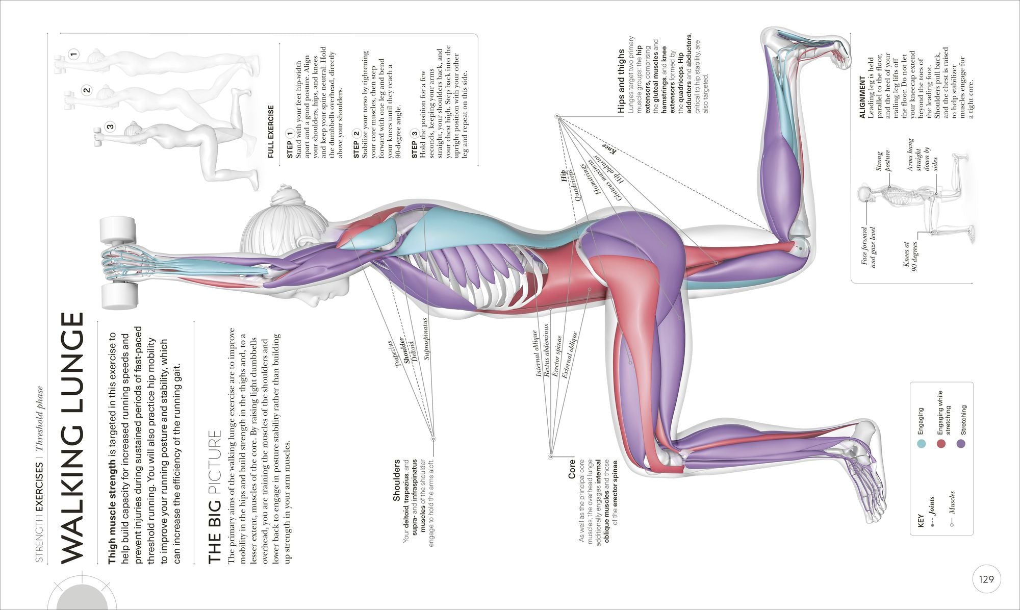 Science of Running: Analyze your Technique, Prevent Injury, Revolutionize your Training