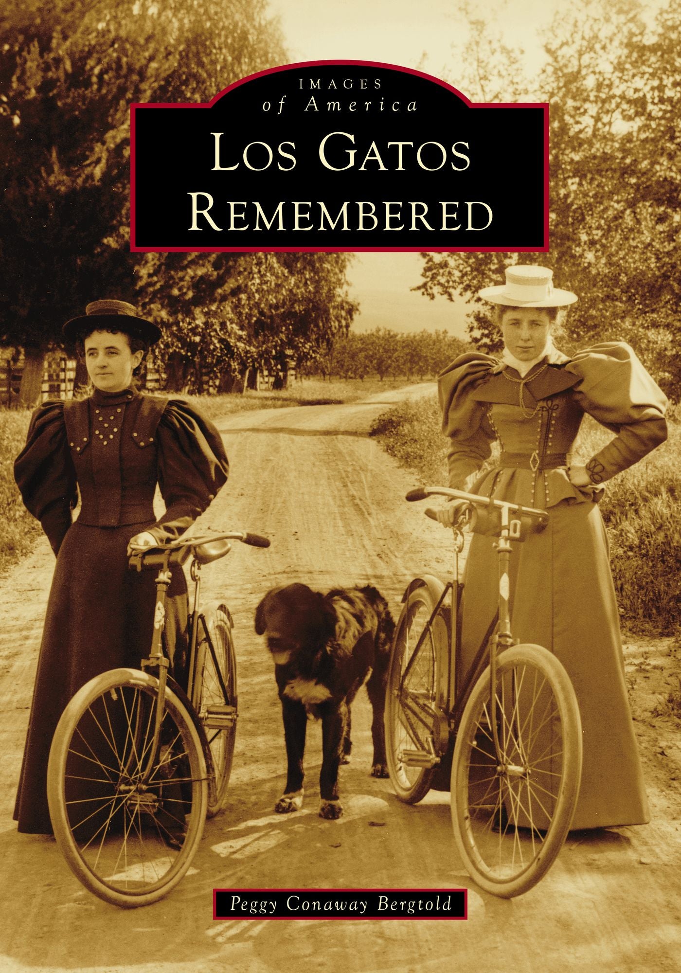 Los Gatos Remembered